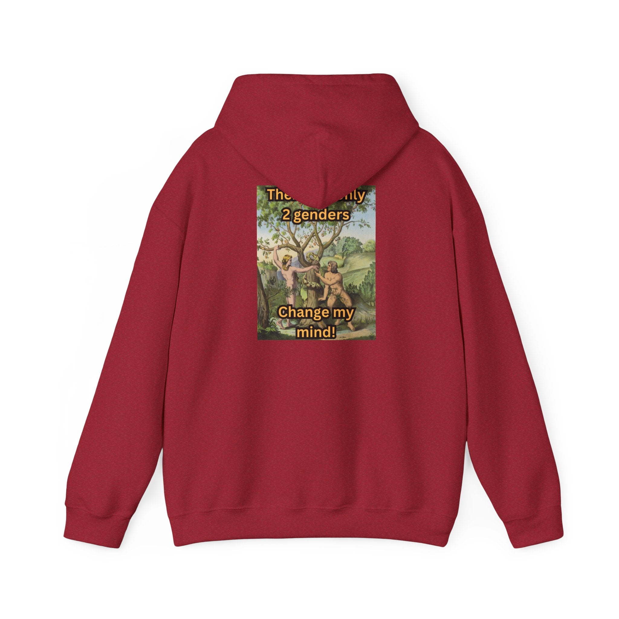 There Are Only 2 Genders Hoodie – Adam & Eve Cross Christian Hoodie for Bold Truth Printify