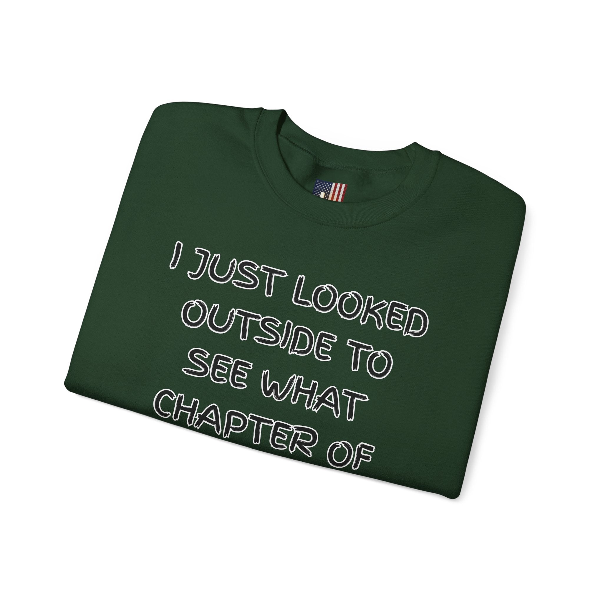 What Chapter of Revelation Sweatshirt – I Looked Outside My Window Christian Sweatshirt for End Times Humor & Faith Printify