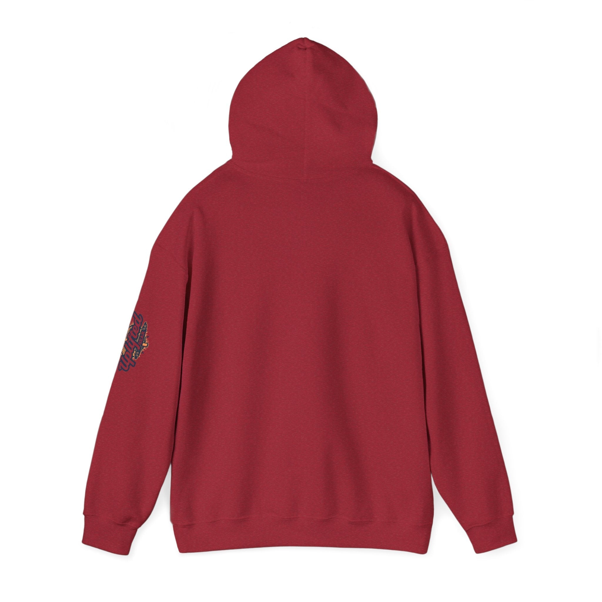 "No Balls in Women's Stalls" Statement Hoodie — Protest Sweatshirt Printify