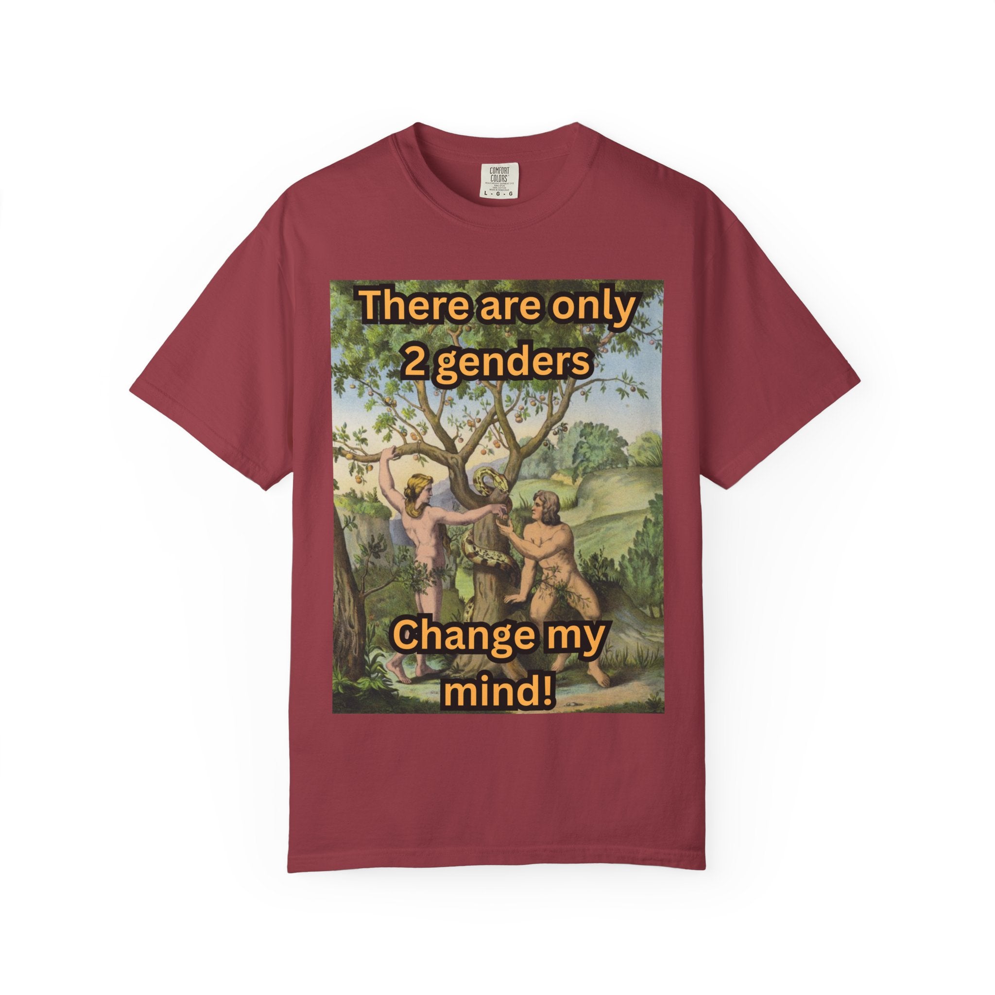 There Are Only 2 Genders T-Shirt – Adam & Eve Cross Christian Tee for Bold Faith Printify