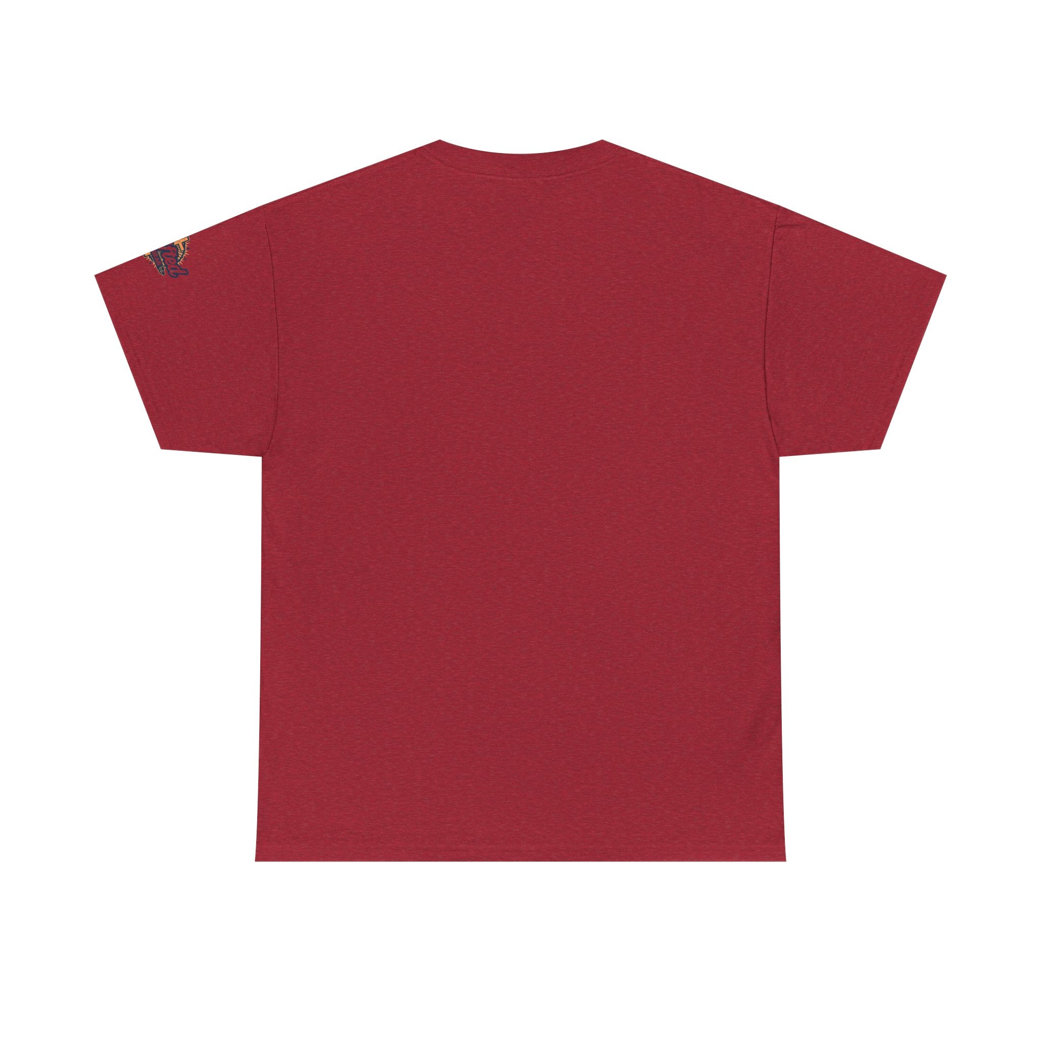 No Balls in Women's Stalls Retro Protest T-Shirt Printify