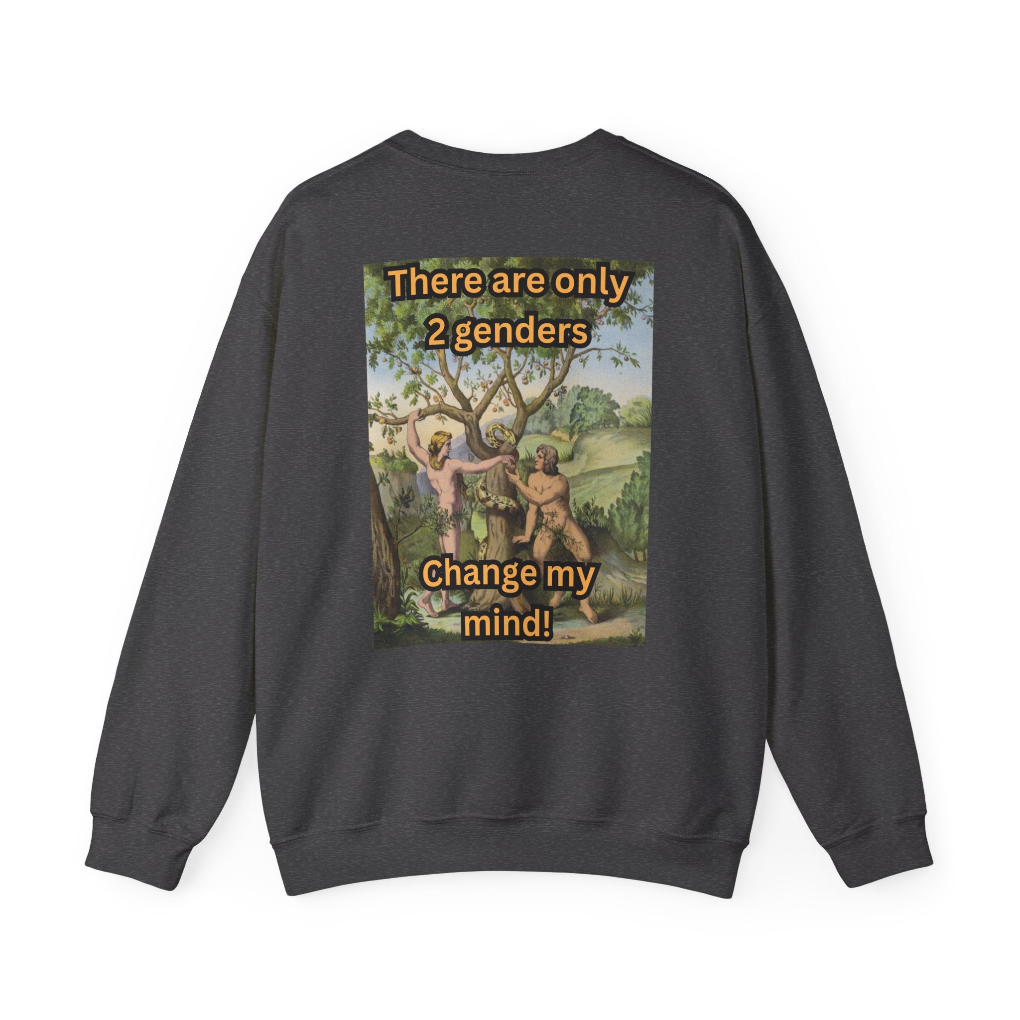 There Are Only 2 Genders Sweatshirt – Adam & Eve Cross Christian Hoodie for Bold Truth Printify