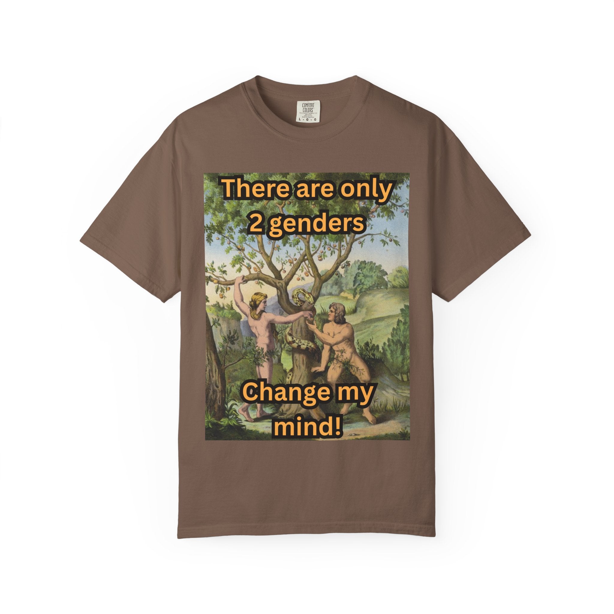 There Are Only 2 Genders T-Shirt – Adam & Eve Cross Christian Tee for Bold Faith Printify