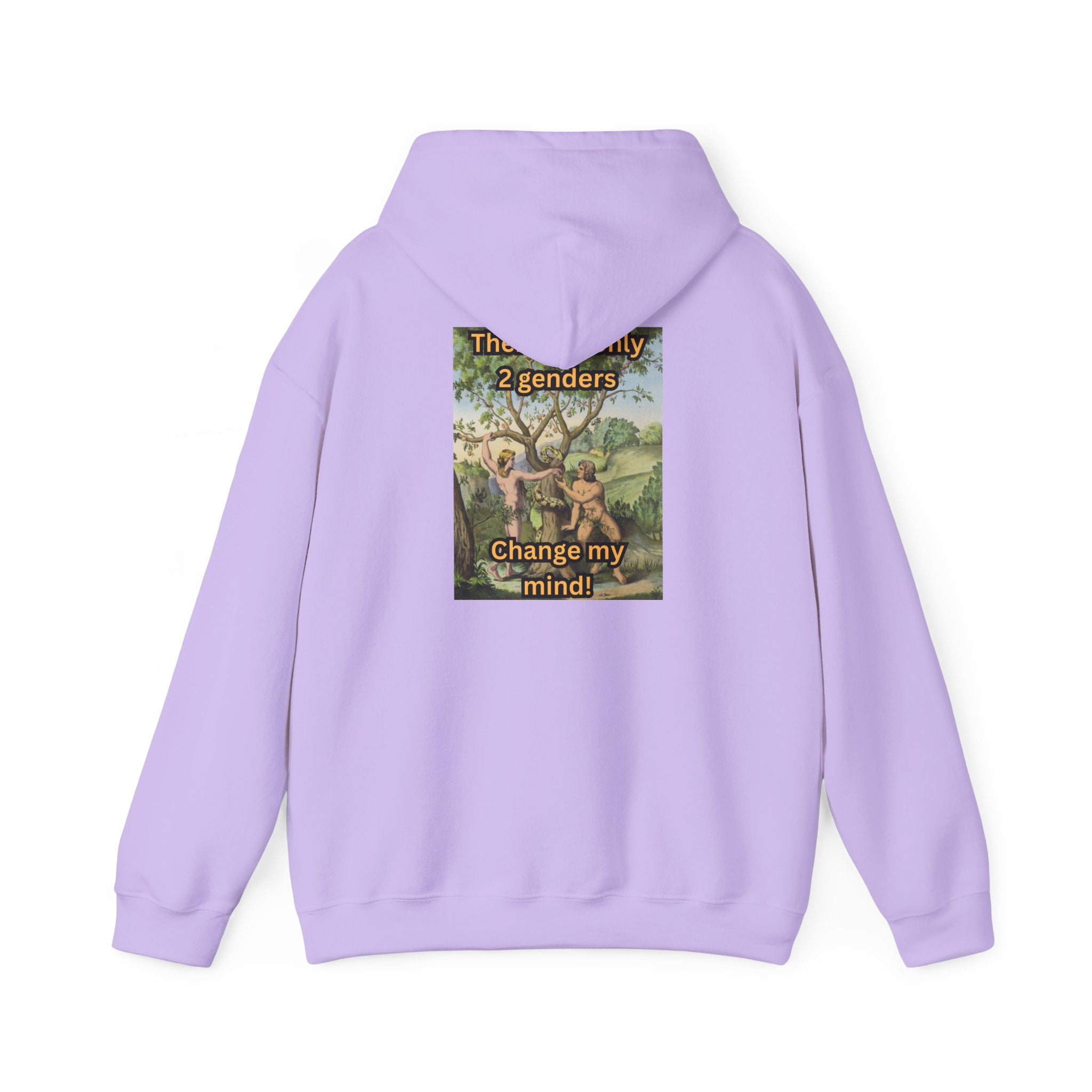 There Are Only 2 Genders Hoodie – Adam & Eve Cross Christian Hoodie for Bold Truth Printify