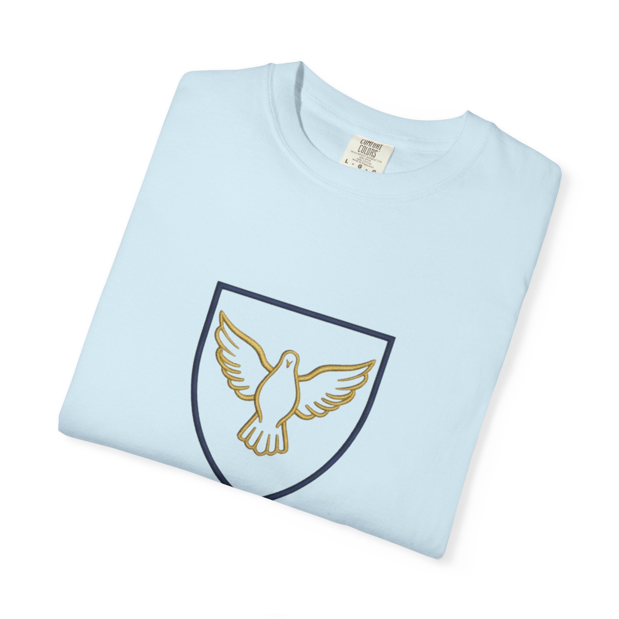 Ambassador for Christ T-Shirt – Established 33 AD Christian Tee for Bold Faith Printify