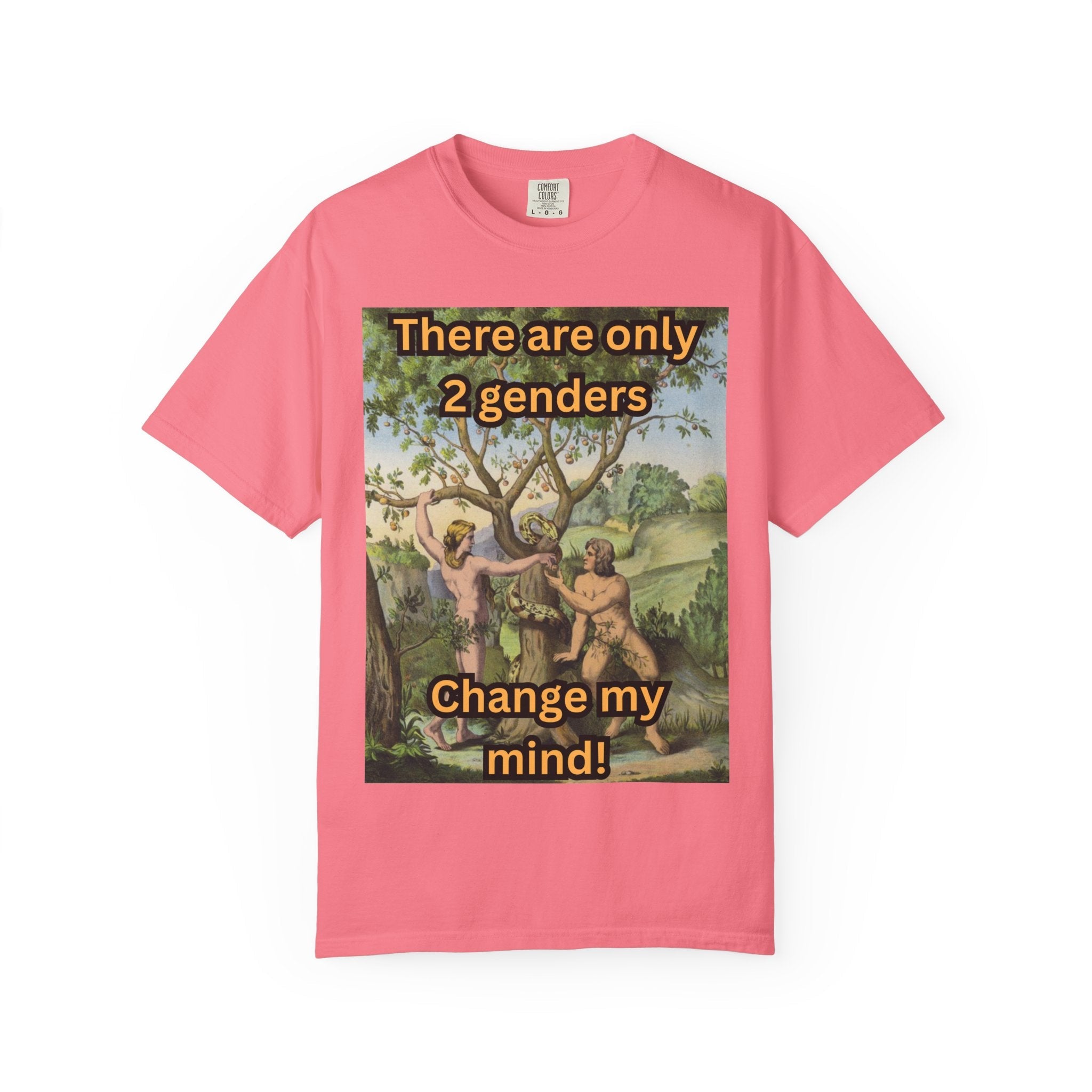 There Are Only 2 Genders T-Shirt – Adam & Eve Cross Christian Tee for Bold Faith Printify