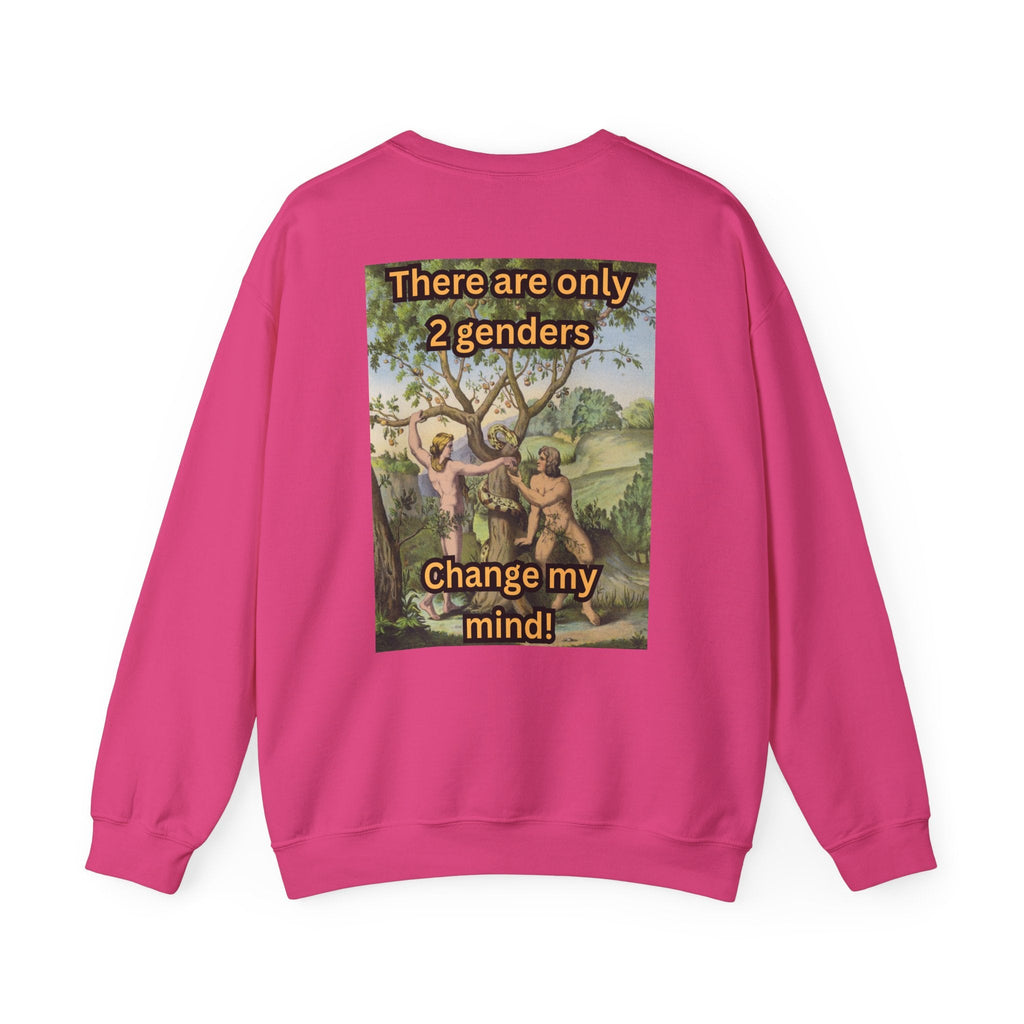 There Are Only 2 Genders Sweatshirt – Adam & Eve Cross Christian Hoodie for Bold Truth Printify