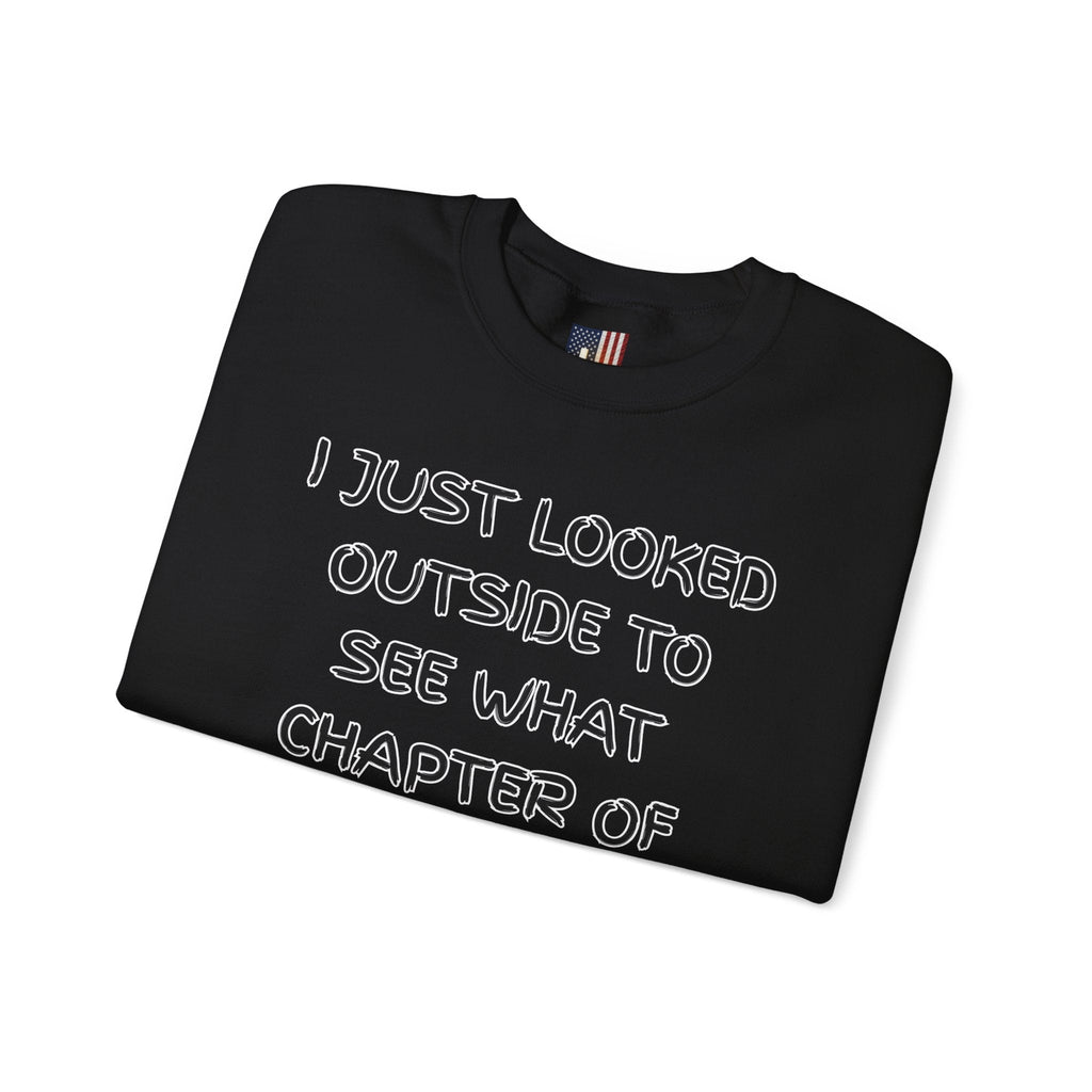What Chapter of Revelation Sweatshirt – I Looked Outside My Window Christian Sweatshirt for End Times Humor & Faith Printify