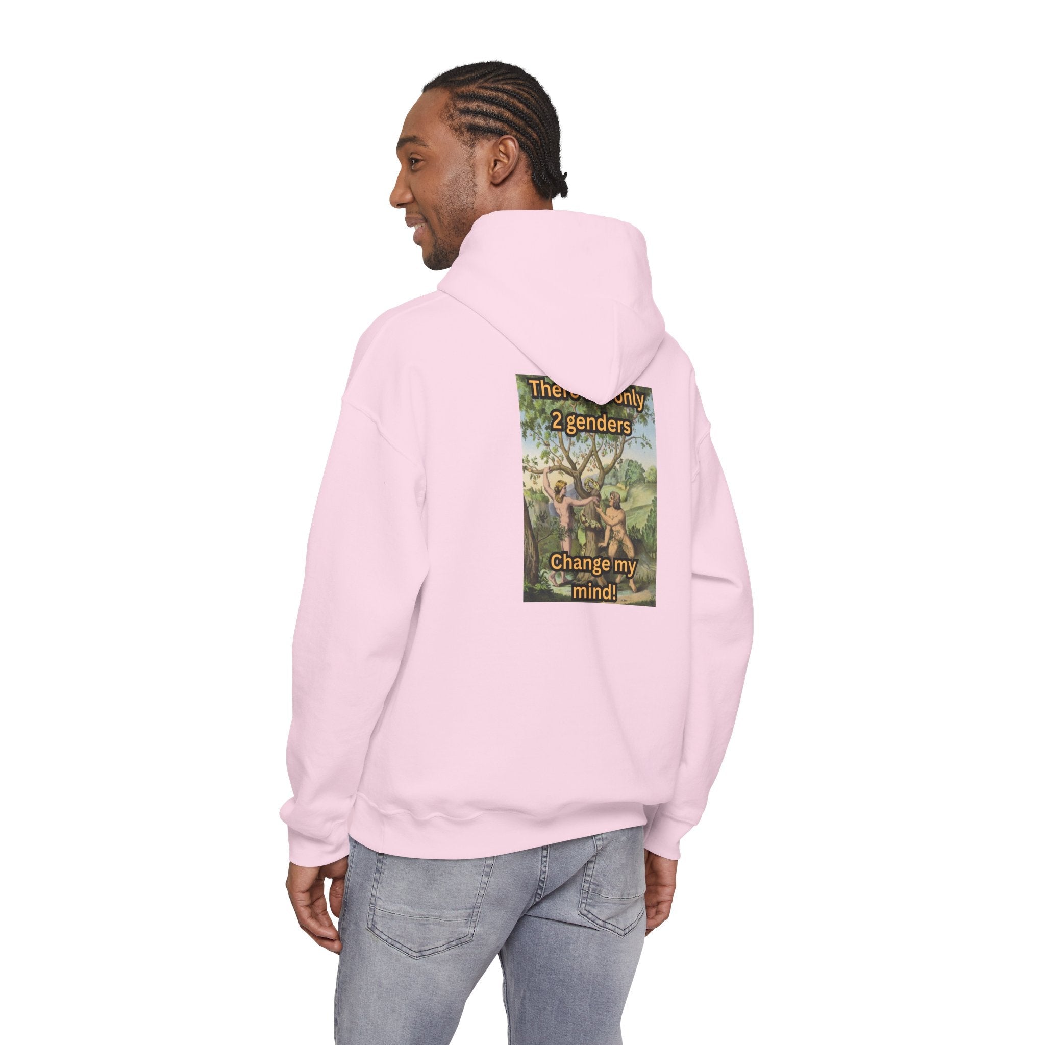 There Are Only 2 Genders Hoodie – Adam & Eve Cross Christian Hoodie for Bold Truth Printify