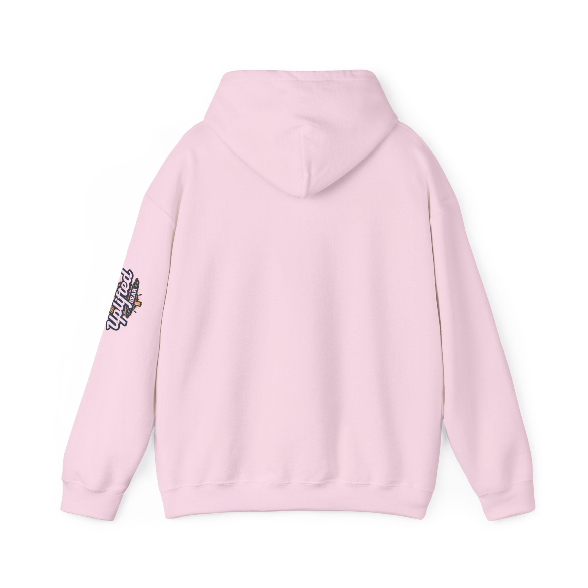 "No Balls in Women's Stalls" Statement Hoodie — Protest Sweatshirt Printify