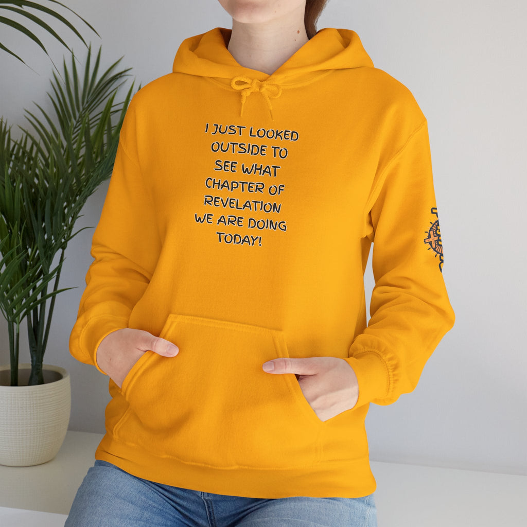 What Chapter of Revelation Hoodie – I Looked Outside My Window Christian Sweatshirt for End Times Humor & Faith Printify