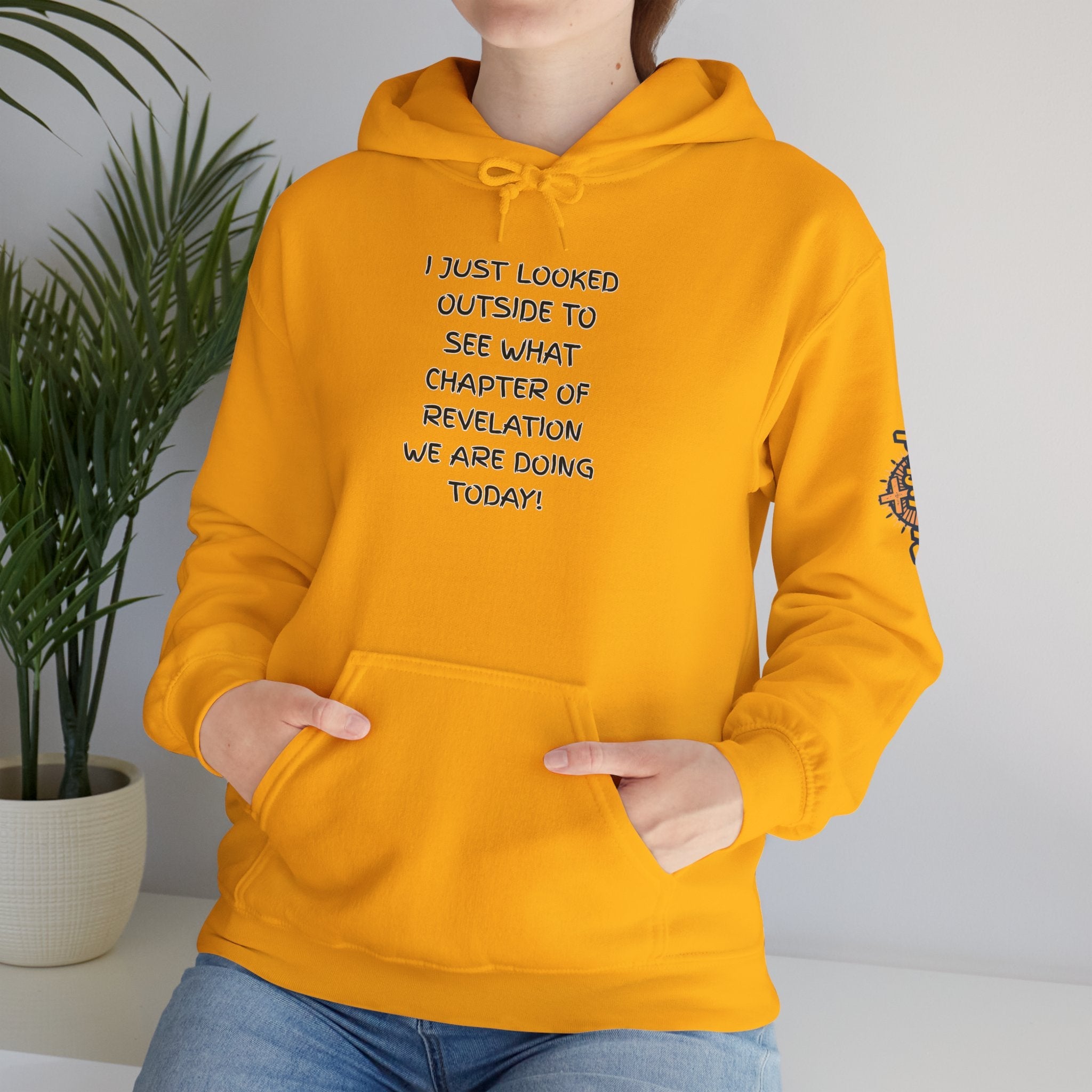 What Chapter of Revelation Hoodie – I Looked Outside My Window Christian Sweatshirt for End Times Humor & Faith Printify