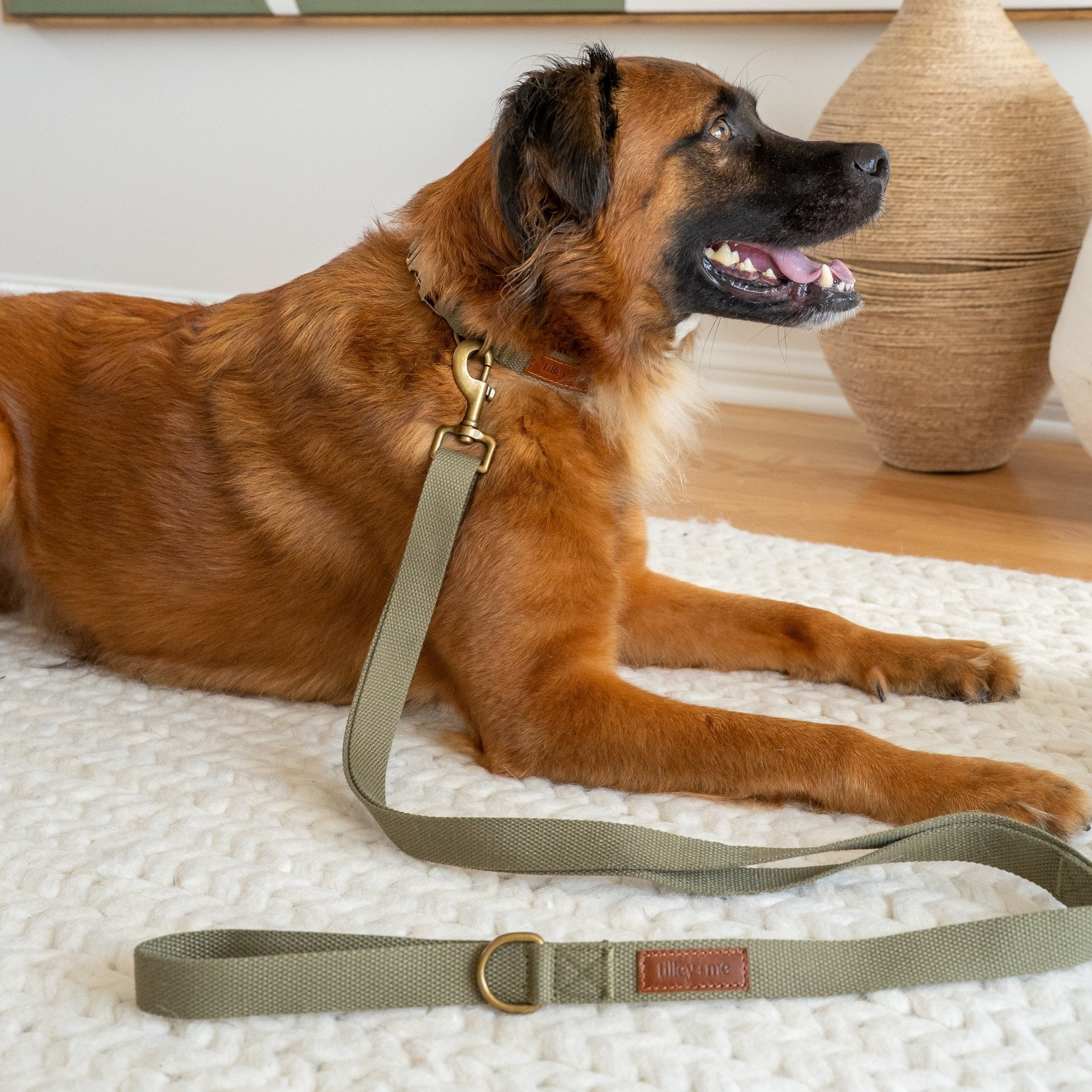 Hemp Cotton Dog Leash - Durable, Sustainable, Adjustable, Lightweight & Soft Tilley + Me