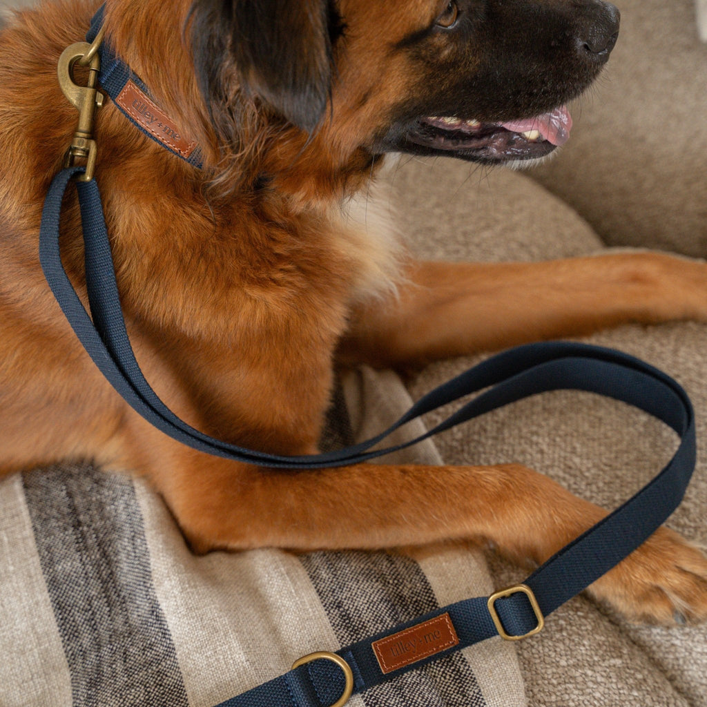 Hemp Cotton Dog Collar - Durable, Sustainable, Adjustable, Lightweight & Soft Tilley + Me