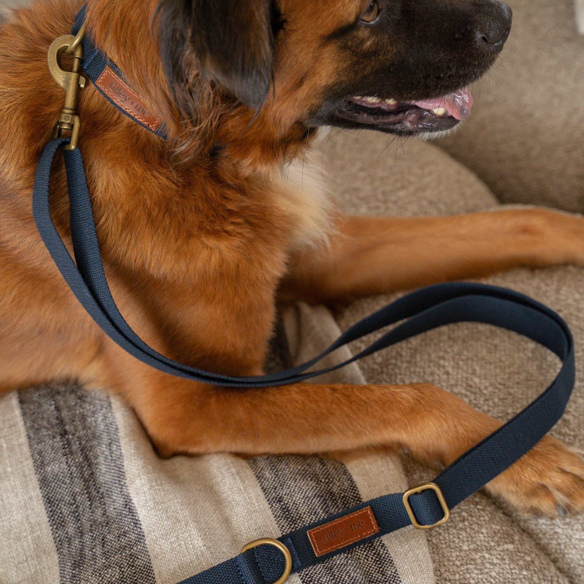 Hemp Cotton Dog Collar - Durable, Sustainable, Adjustable, Lightweight & Soft Tilley + Me