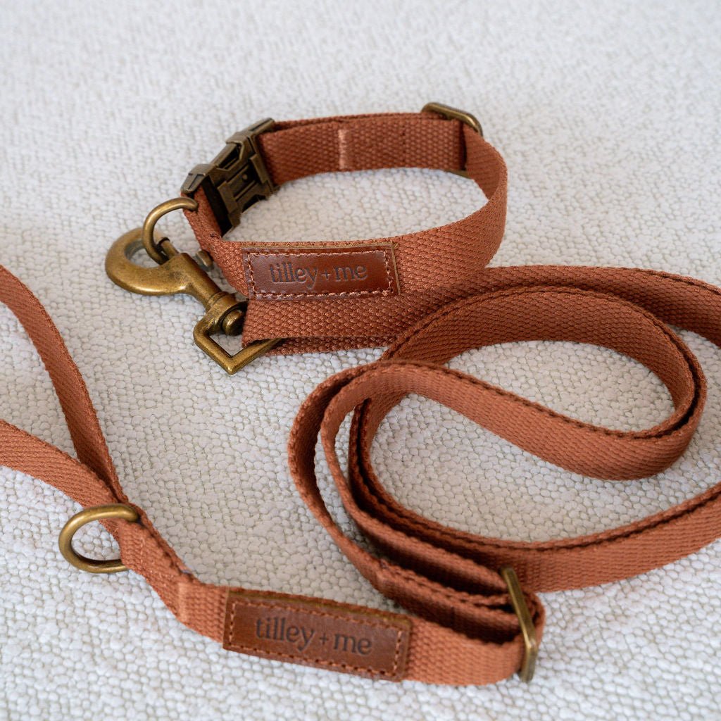 Hemp Cotton Dog Collar - Durable, Sustainable, Adjustable, Lightweight & Soft Tilley + Me