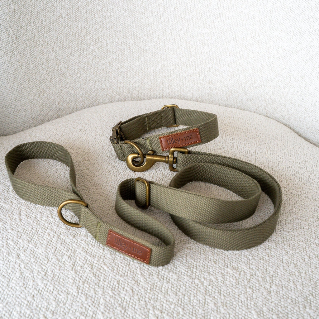 Hemp Cotton Dog Leash - Durable, Sustainable, Adjustable, Lightweight & Soft Tilley + Me