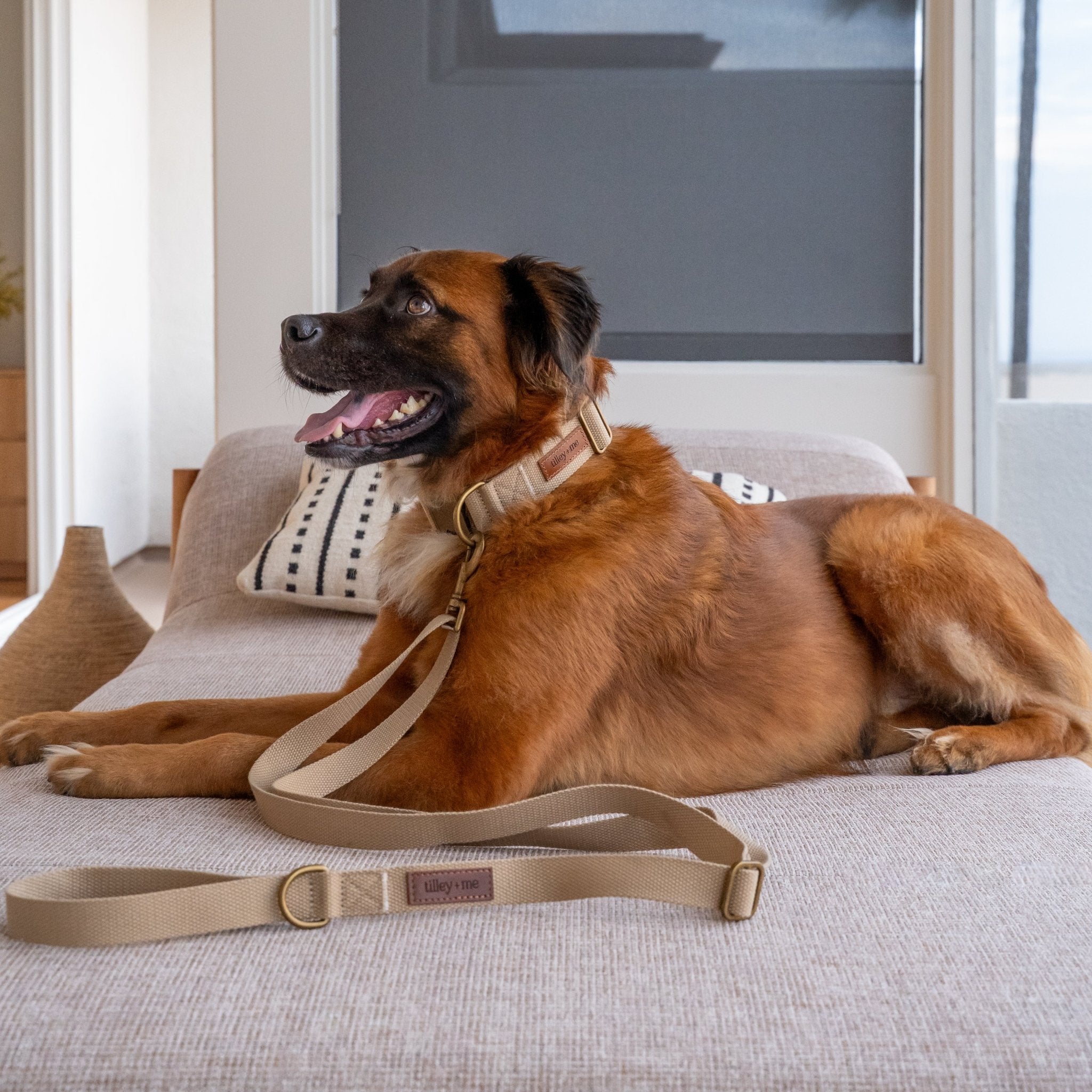 Hemp Cotton Dog Leash - Durable, Sustainable, Adjustable, Lightweight & Soft Tilley + Me