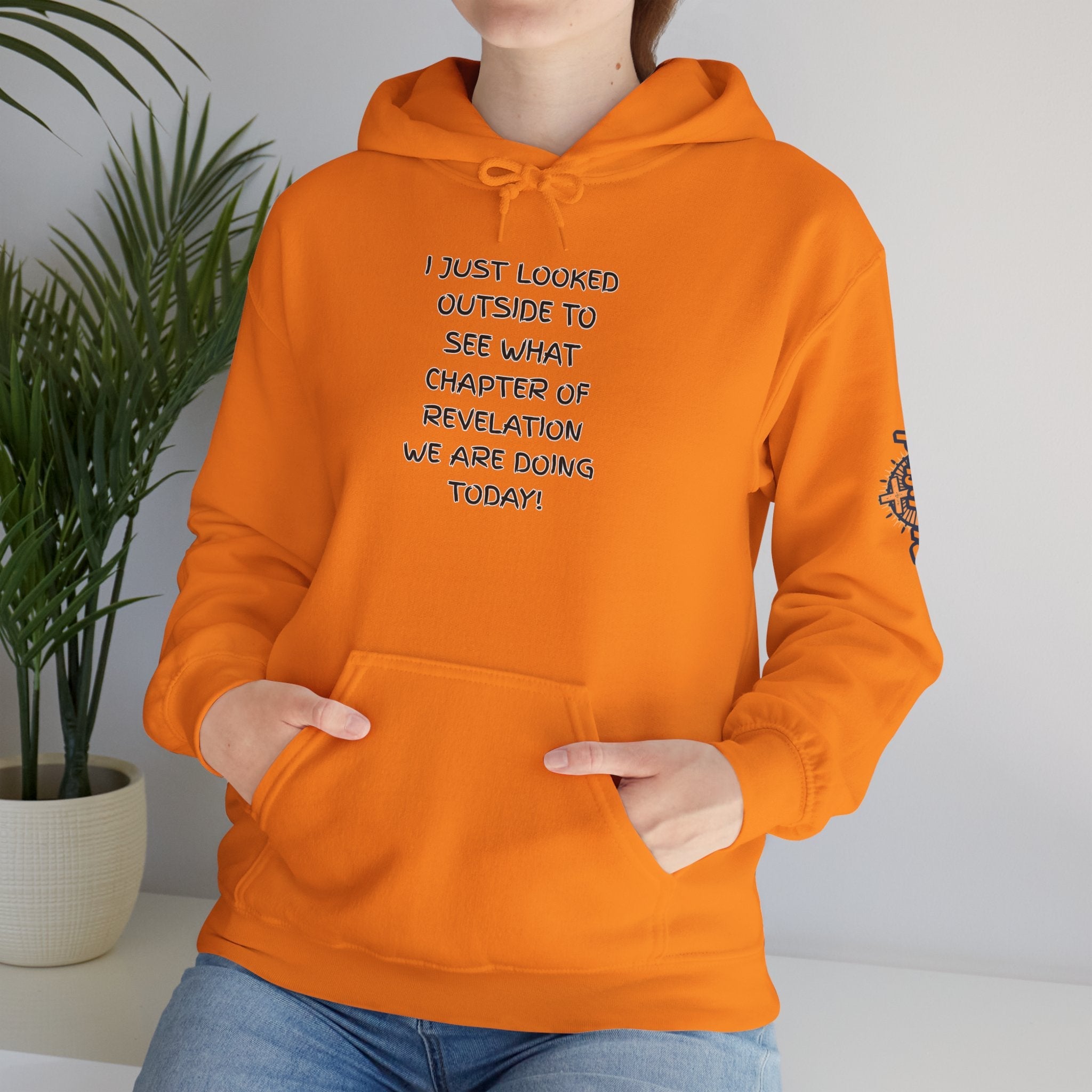 What Chapter of Revelation Hoodie – I Looked Outside My Window Christian Sweatshirt for End Times Humor & Faith Printify