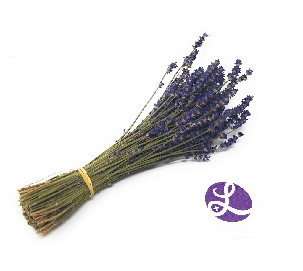Culinary Lavender Bundles - 14" - 18" Long Findlavender.com
