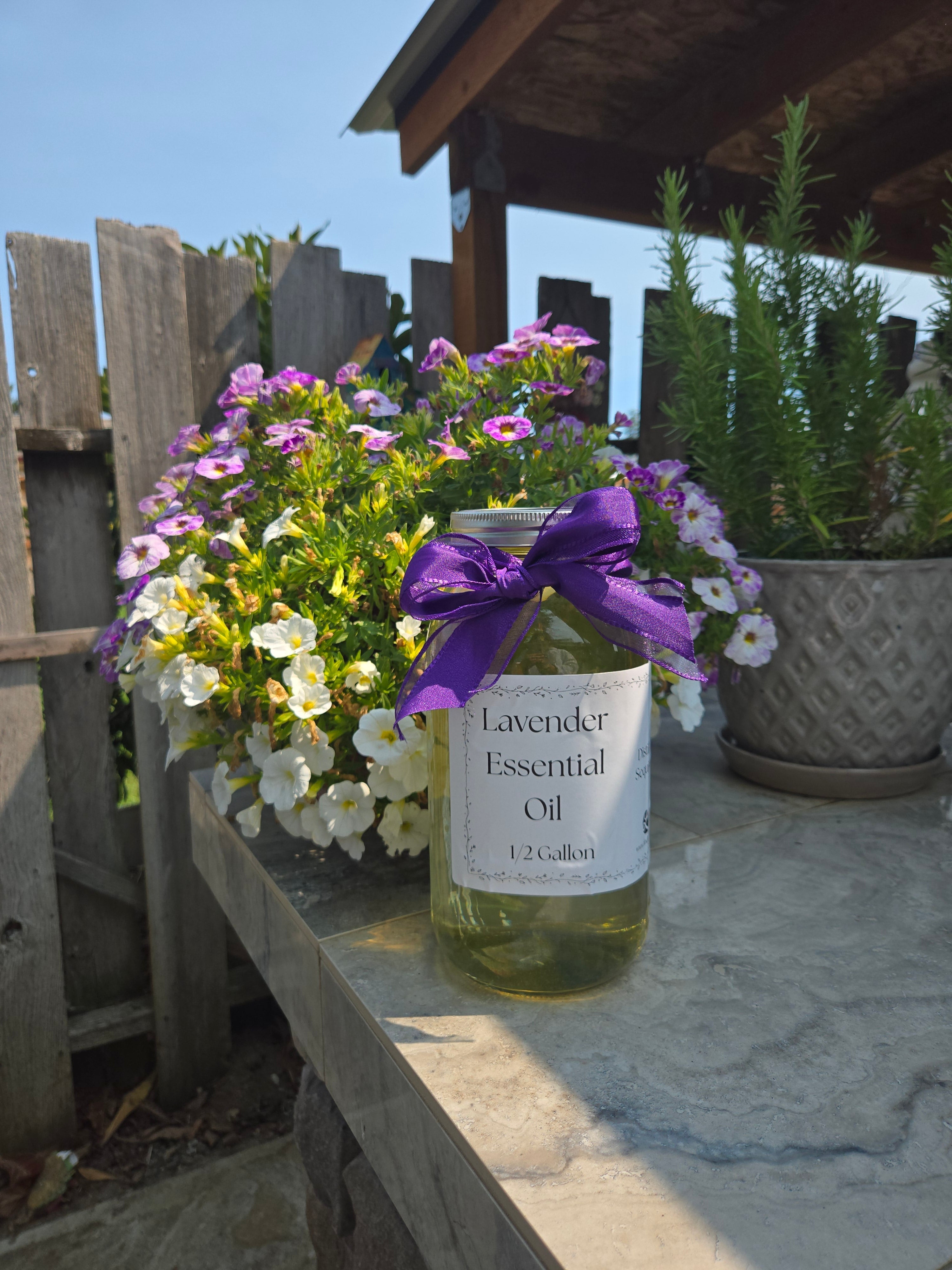 Lavender Essential Oil – 1/2 Gallon, Locally Sourced in WA Findlavender.com