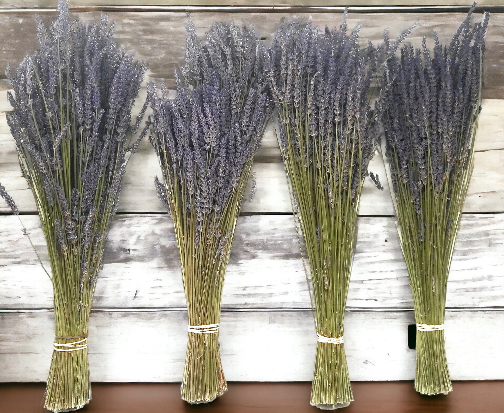 Lavender Dried Bundles Findlavender.com