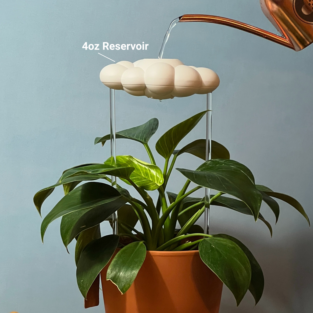 Original Dripping Rain Cloud with Sun Charm The Cloud Makers