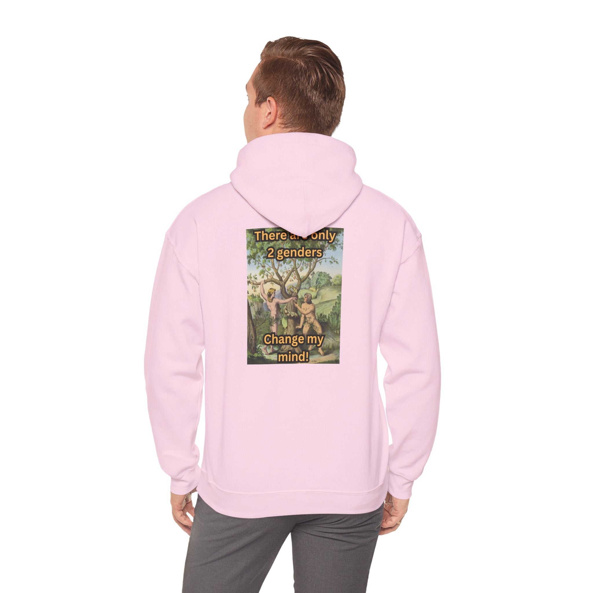 There Are Only 2 Genders Hoodie – Adam & Eve Cross Christian Hoodie for Bold Truth Printify