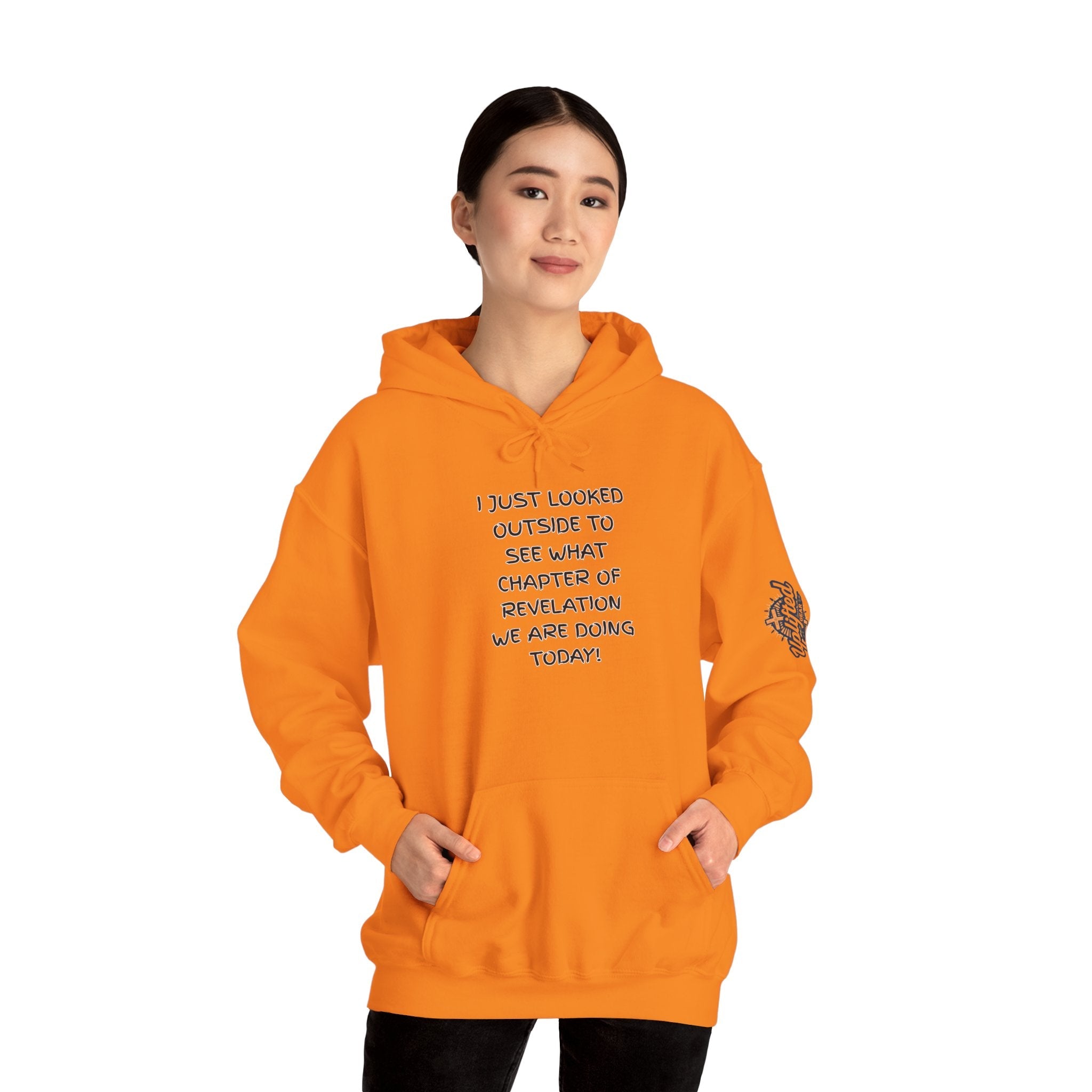 What Chapter of Revelation Hoodie – I Looked Outside My Window Christian Sweatshirt for End Times Humor & Faith Printify