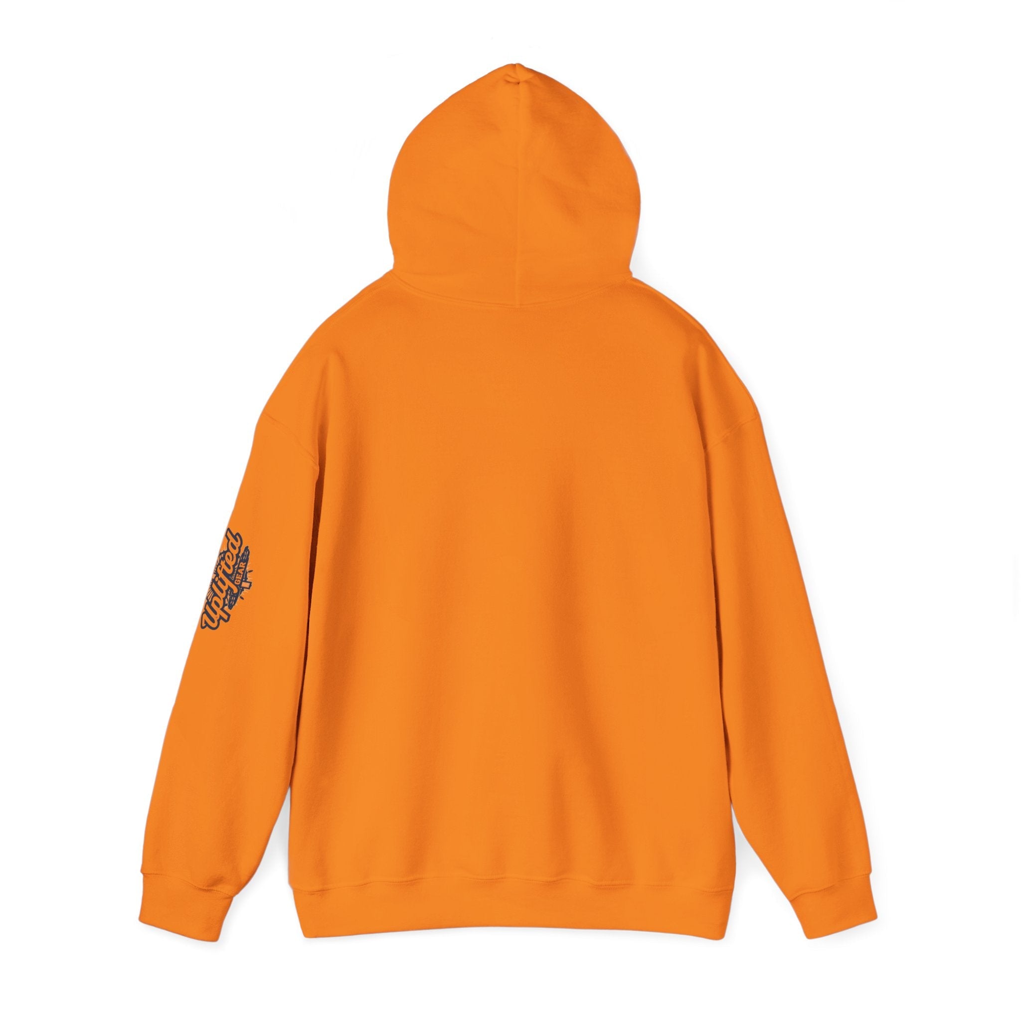 "No Balls in Women's Stalls" Statement Hoodie — Protest Sweatshirt Printify