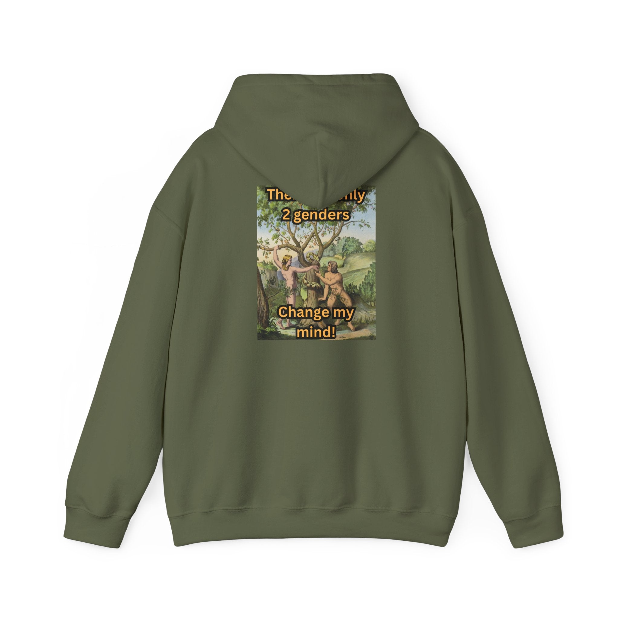 There Are Only 2 Genders Hoodie – Adam & Eve Cross Christian Hoodie for Bold Truth Printify