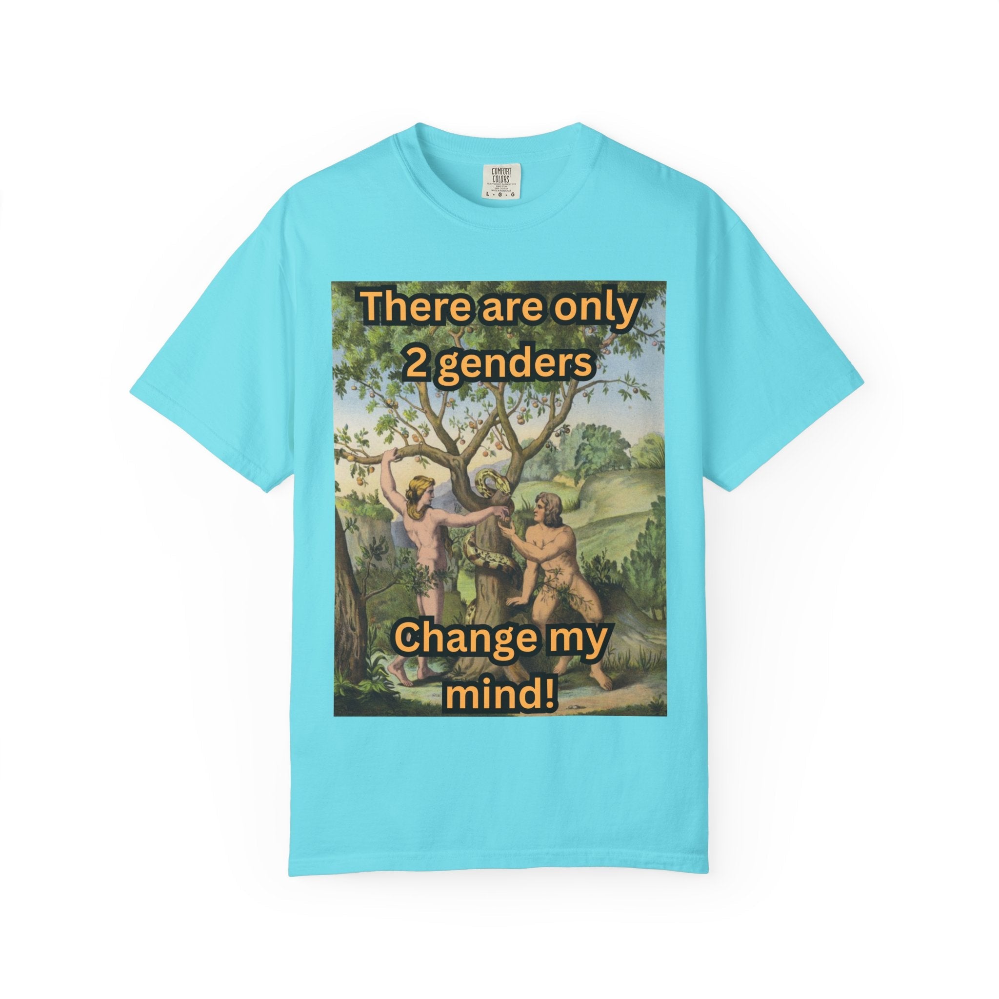 There Are Only 2 Genders T-Shirt – Adam & Eve Cross Christian Tee for Bold Faith Printify
