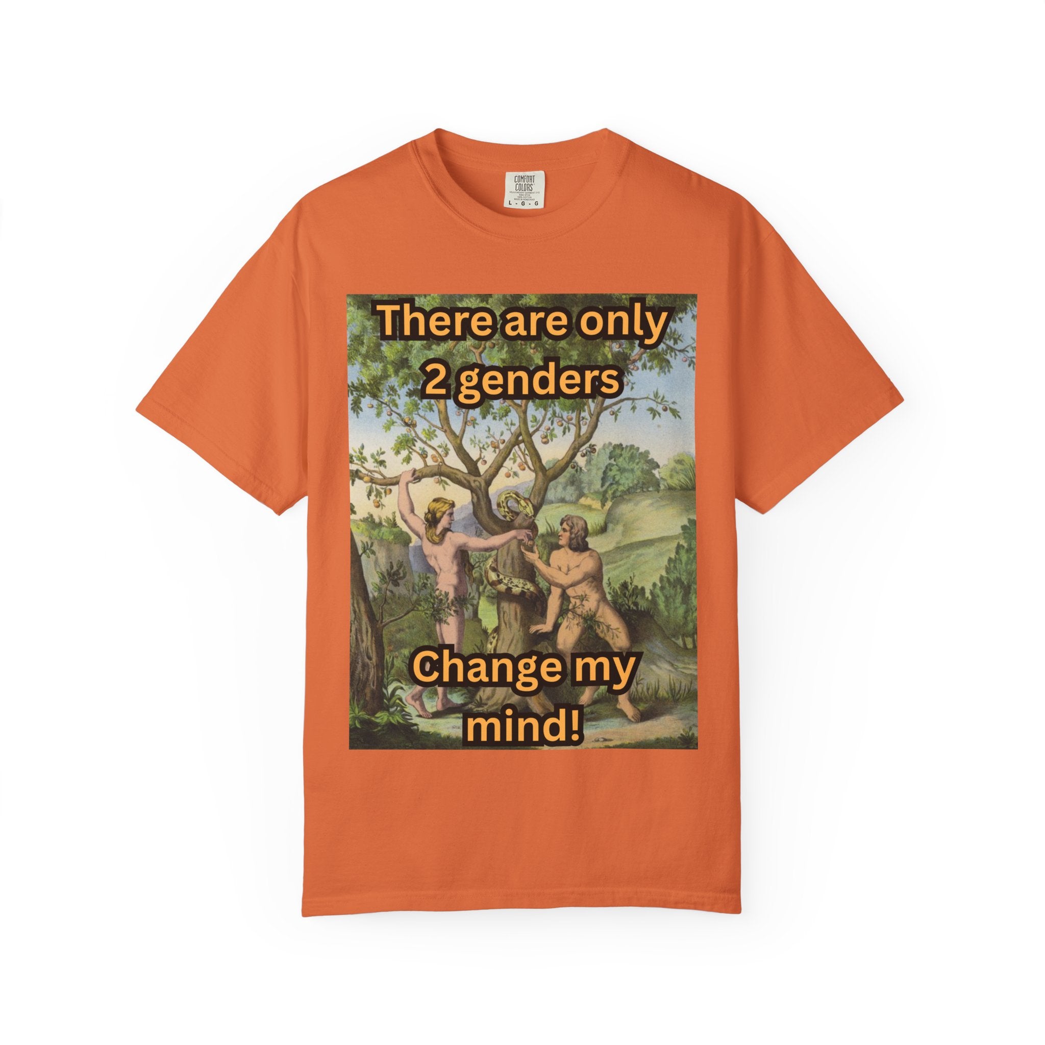 There Are Only 2 Genders T-Shirt – Adam & Eve Cross Christian Tee for Bold Faith Printify