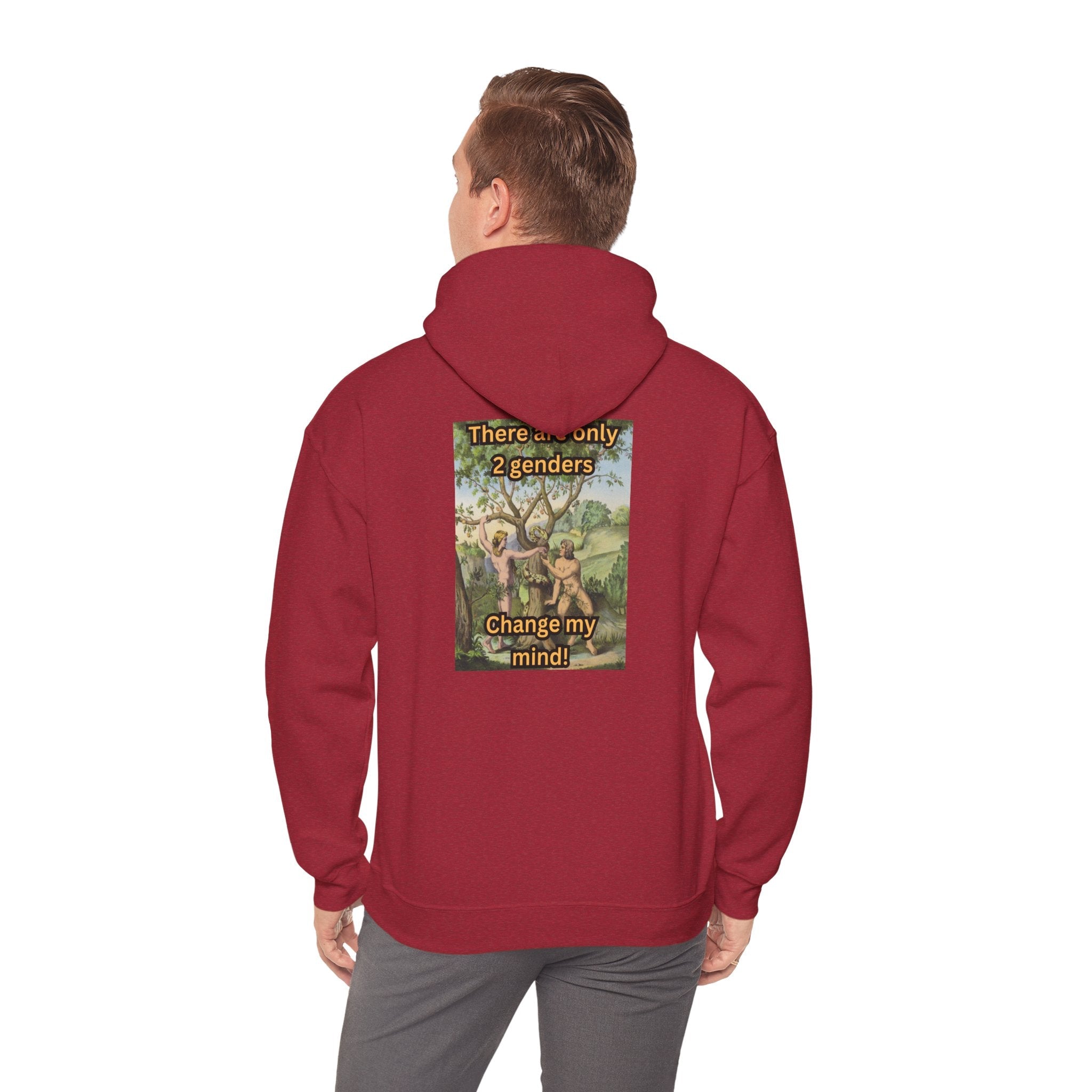 There Are Only 2 Genders Hoodie – Adam & Eve Cross Christian Hoodie for Bold Truth Printify