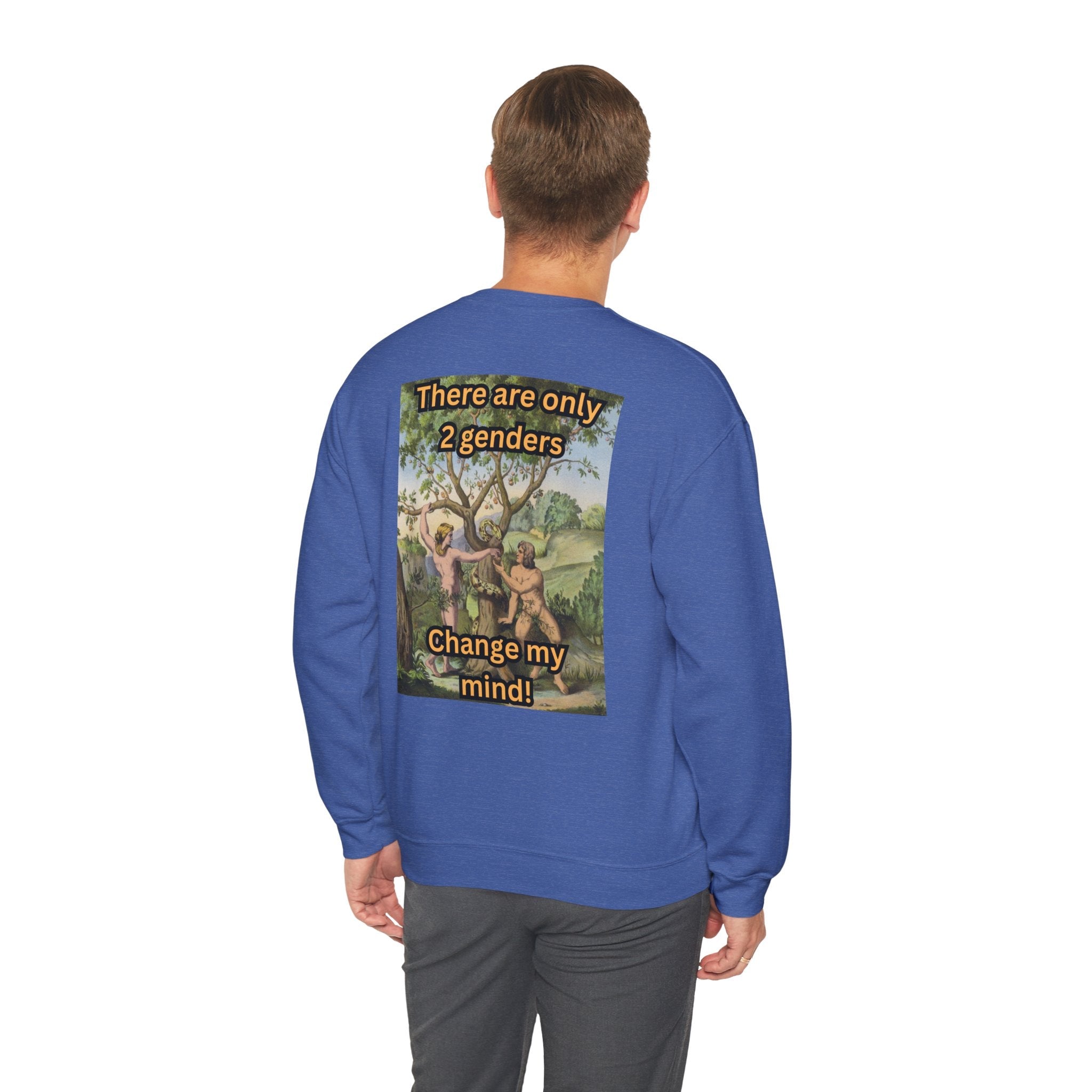 There Are Only 2 Genders Sweatshirt – Adam & Eve Cross Christian Hoodie for Bold Truth Printify