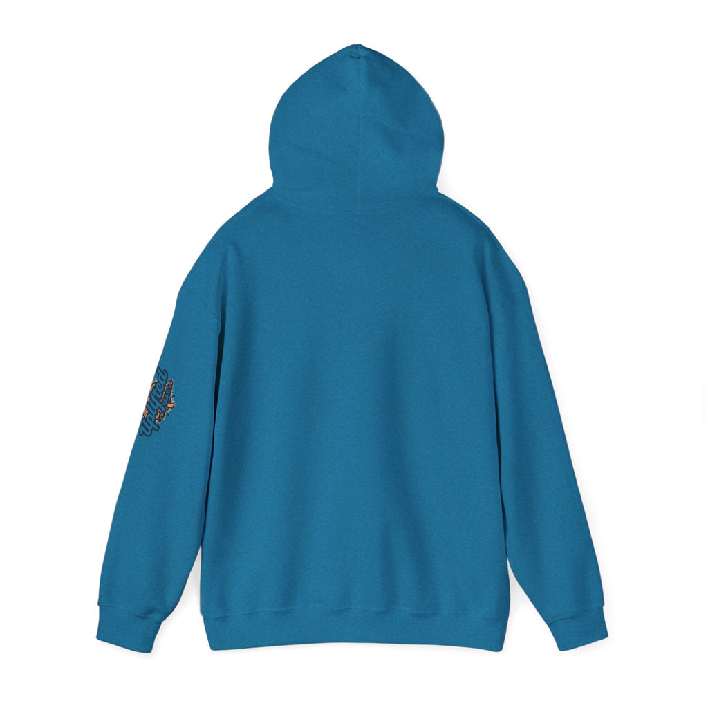 "No Balls in Women's Stalls" Statement Hoodie — Protest Sweatshirt Printify