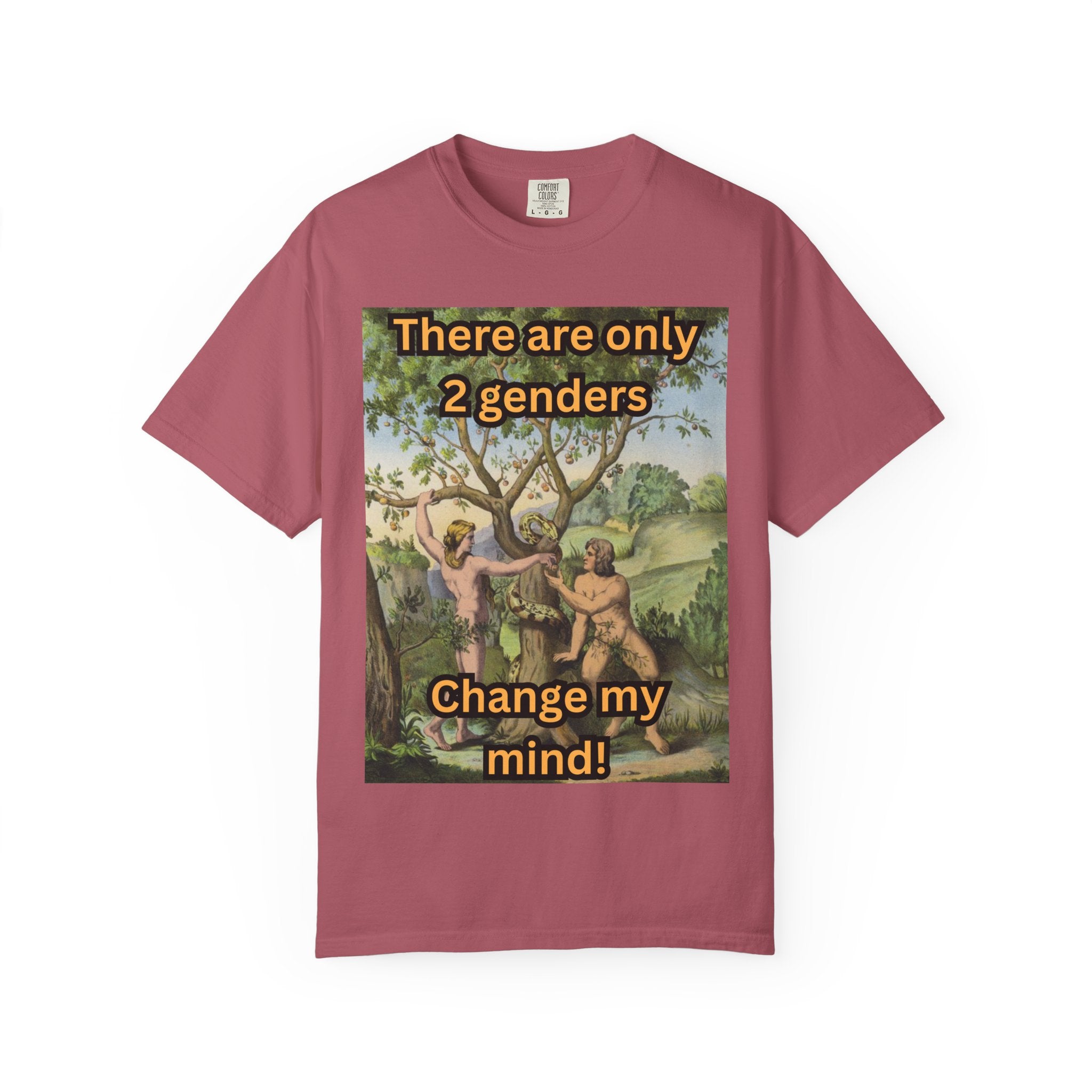 There Are Only 2 Genders T-Shirt – Adam & Eve Cross Christian Tee for Bold Faith Printify
