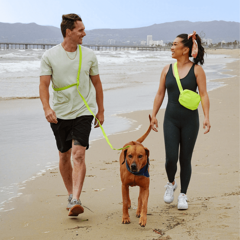 PVC Handsfree Dog Leash - All Weather Waterproof Durable & Odor-Resistant Tilley + Me