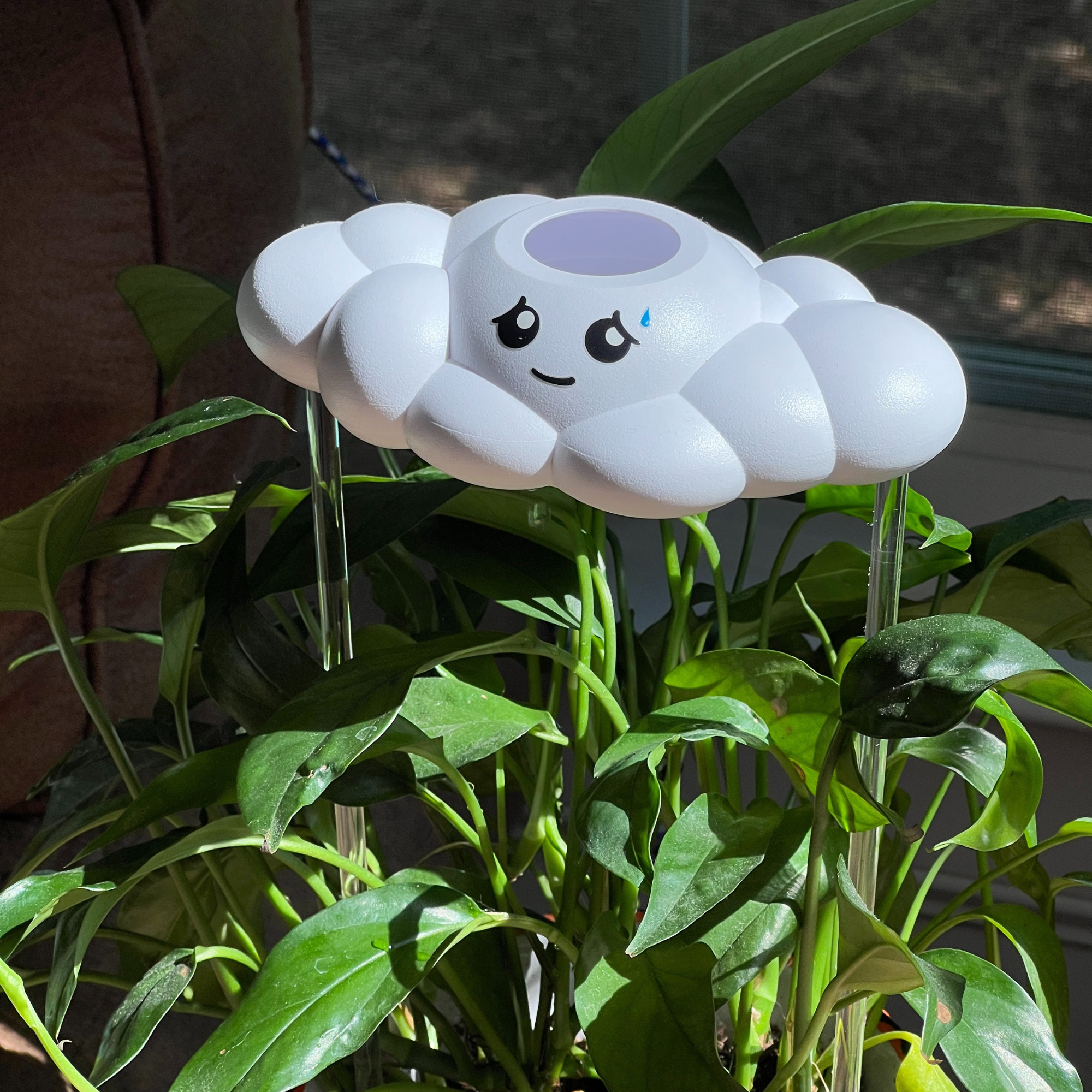 Cory the Cloud The Cloud Makers