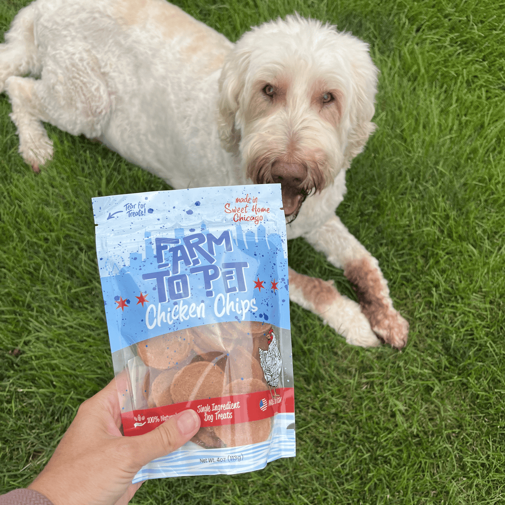 Chicago Chicken Chips for Dogs | Dog Treats To Celebrate Our Hometown Farm To Pet