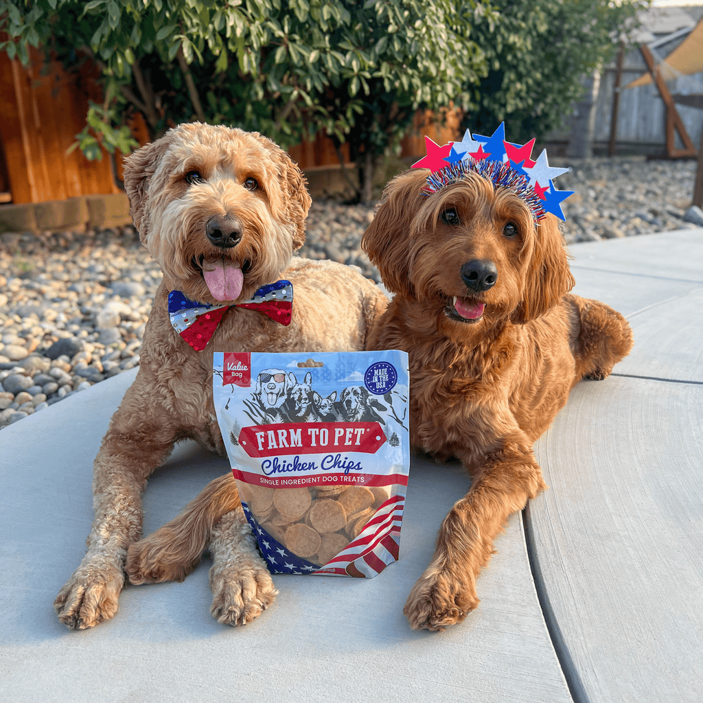 Americana Chicken Chips for Dogs | Celebrate with USA-made Dog Treats Farm To Pet