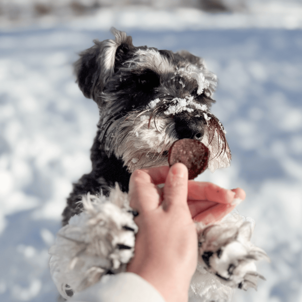 Snack Stuffers Mini Dog Treat Bags Farm To Pet