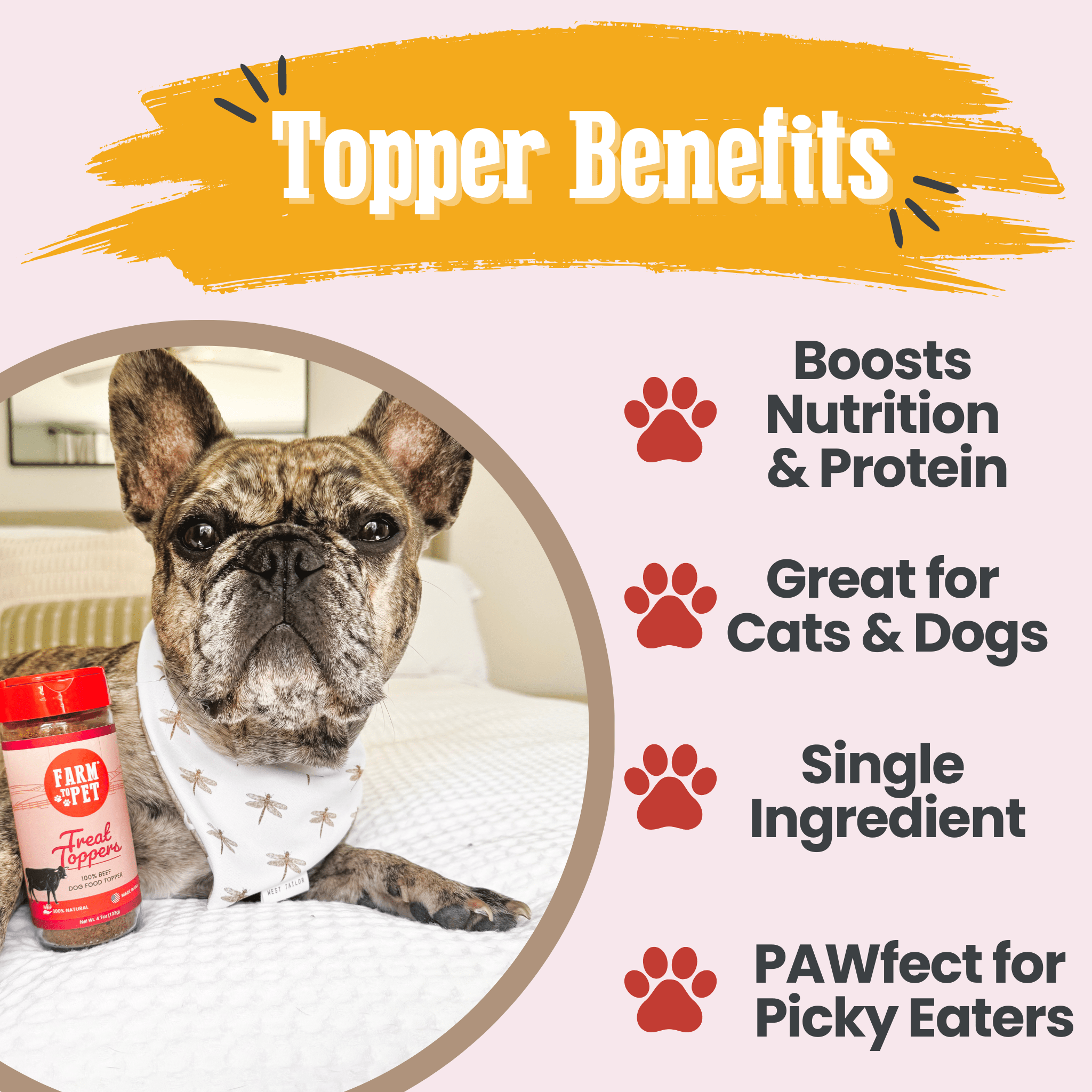 Treat Topper Beef Dog Food Topper | Powdered Meal Topper for Pets Farm To Pet