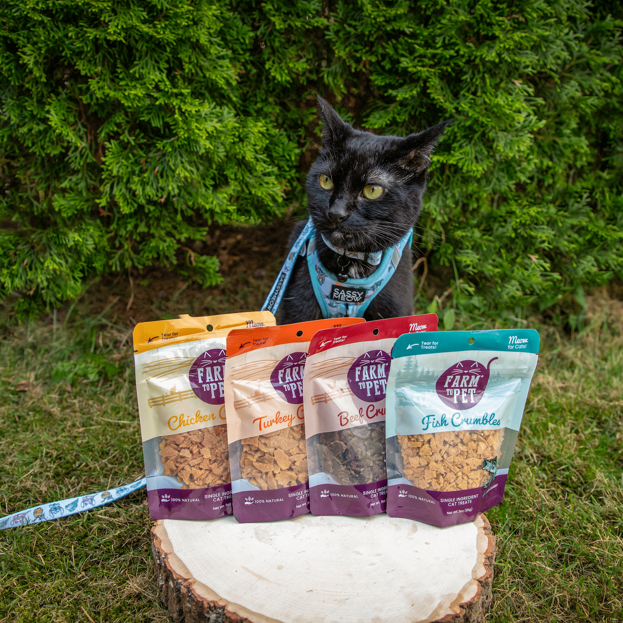 Beef Crumbles Cat Treats | High Protein Treats for Cats Farm To Pet