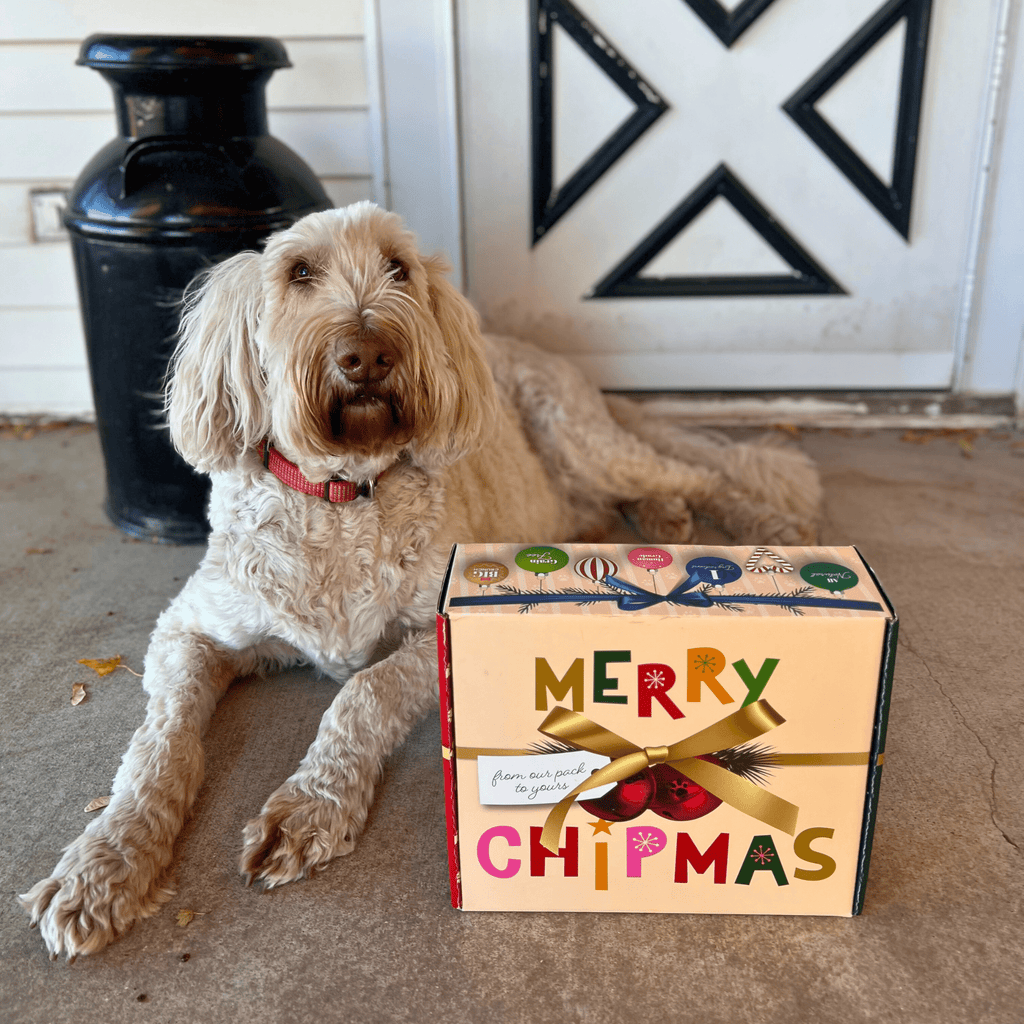 Santa Paws' Best Chipmas Dog Treat Box Farm To Pet