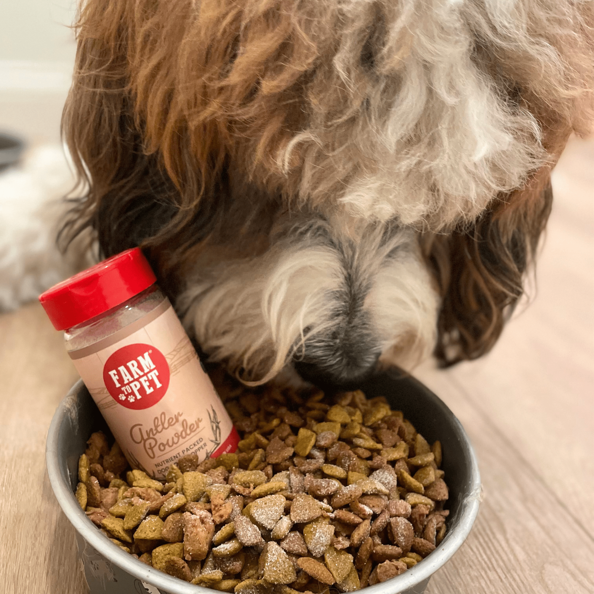 Treat Topper Antler Powder Dog Food Topper | Nutritional Supplement for Dogs and Cats Farm To Pet