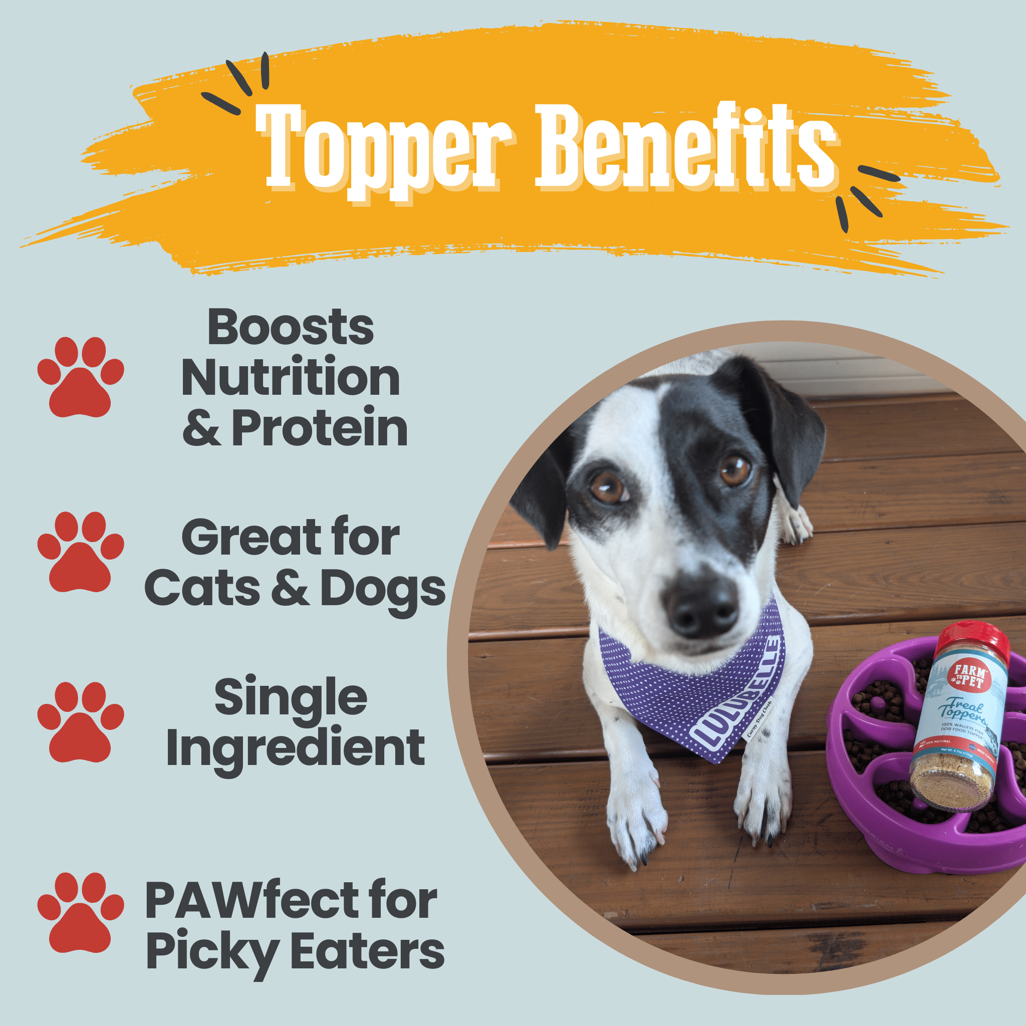 Treat Topper Fish Dog Food Topper | Low-Fat Meal Topper for Pets Farm To Pet