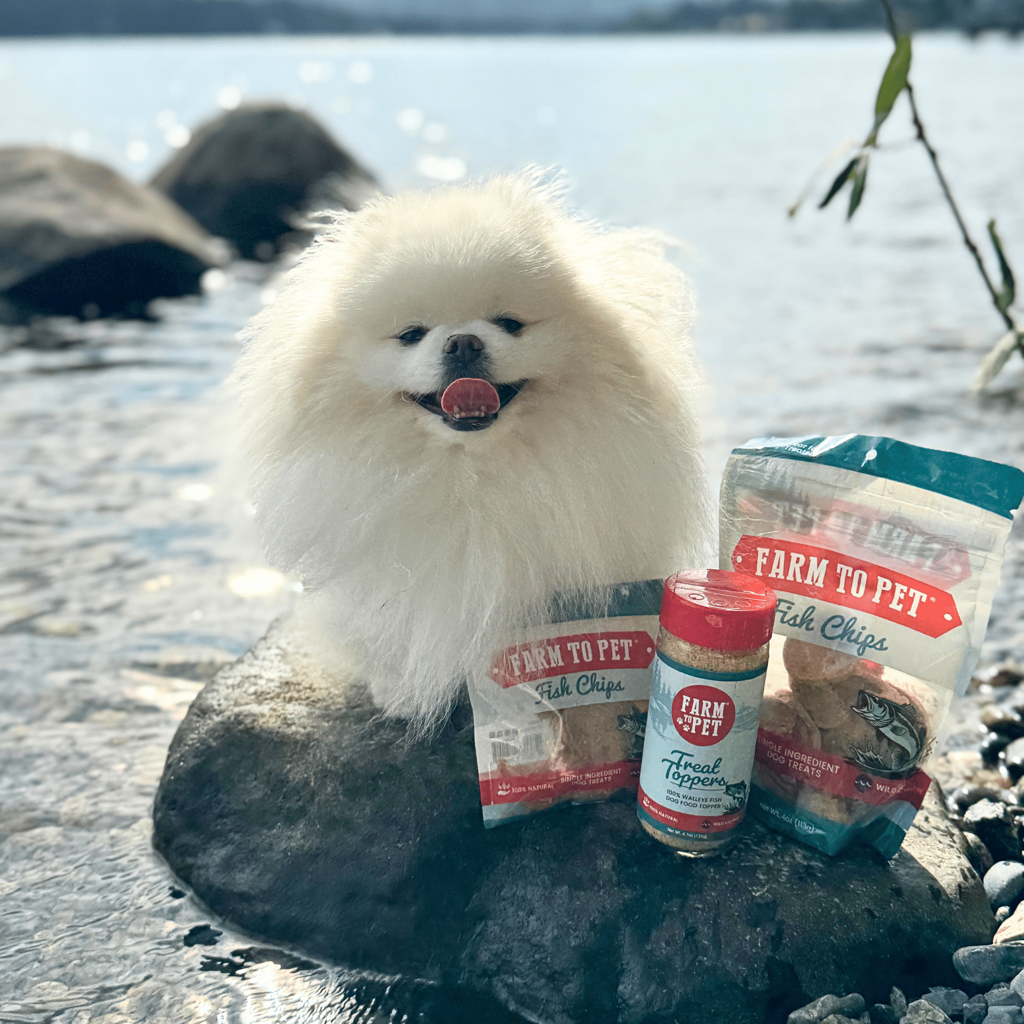 Treat Topper Fish Dog Food Topper | Low-Fat Meal Topper for Pets Farm To Pet