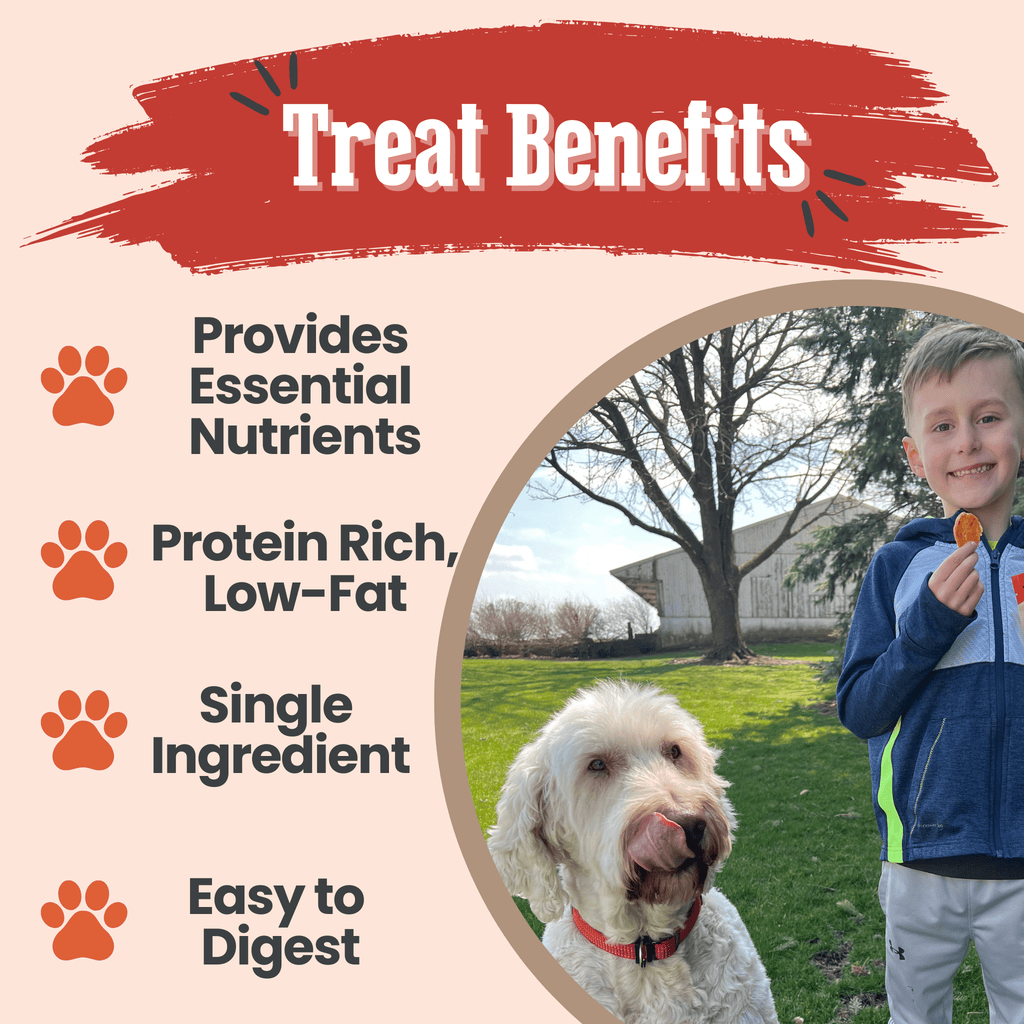 Turkey Chips for Dogs | All-Natural Single-Ingredient Healthy Dog Treats Farm To Pet