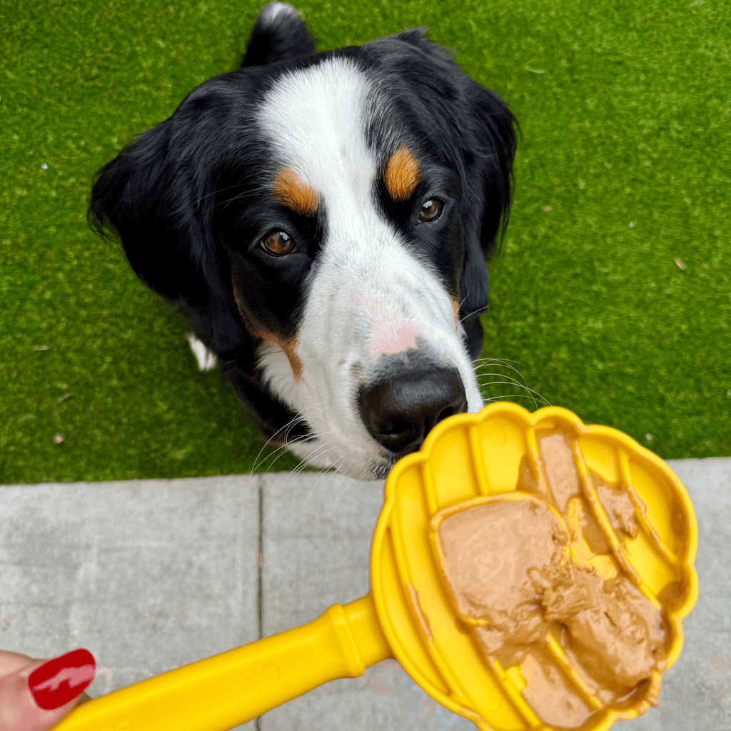 Lick Sticks | Interactive Dog Training Toy Farm To Pet